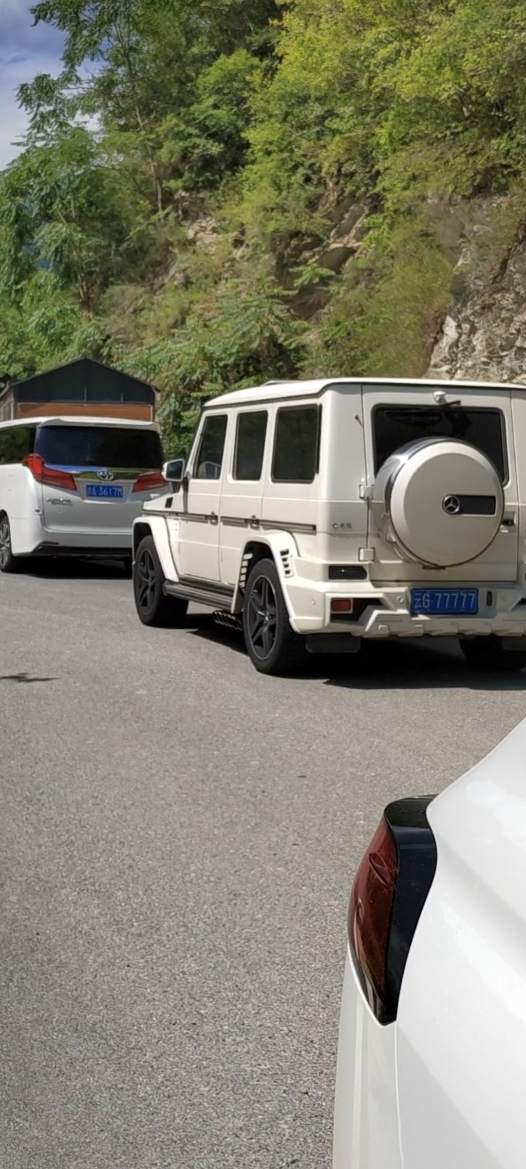 白河国家级自然保护区旅行图片 2