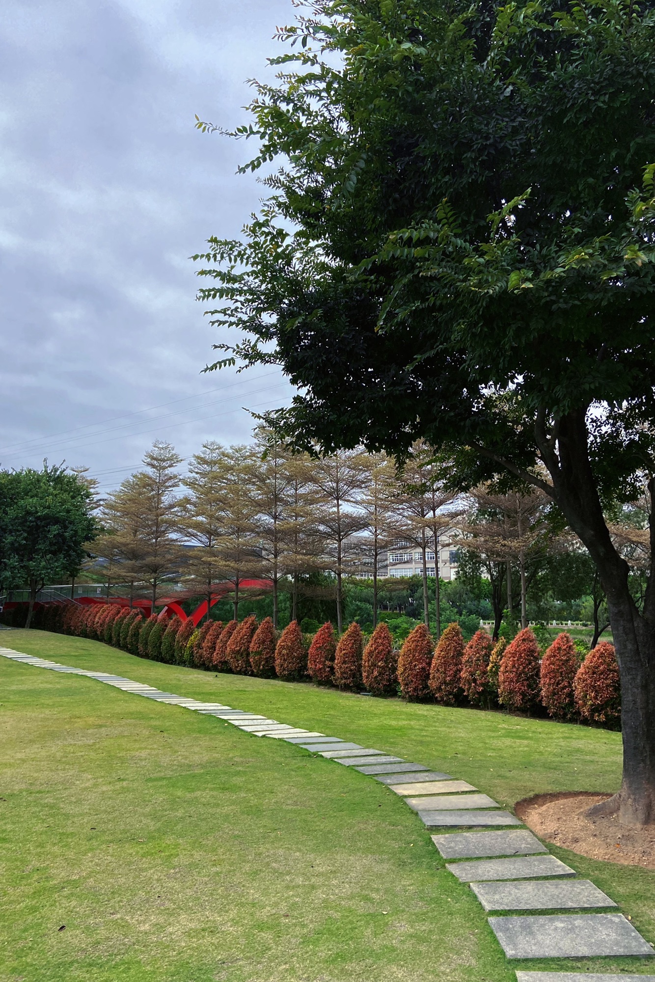 海沧自贸公园旅行图片 2