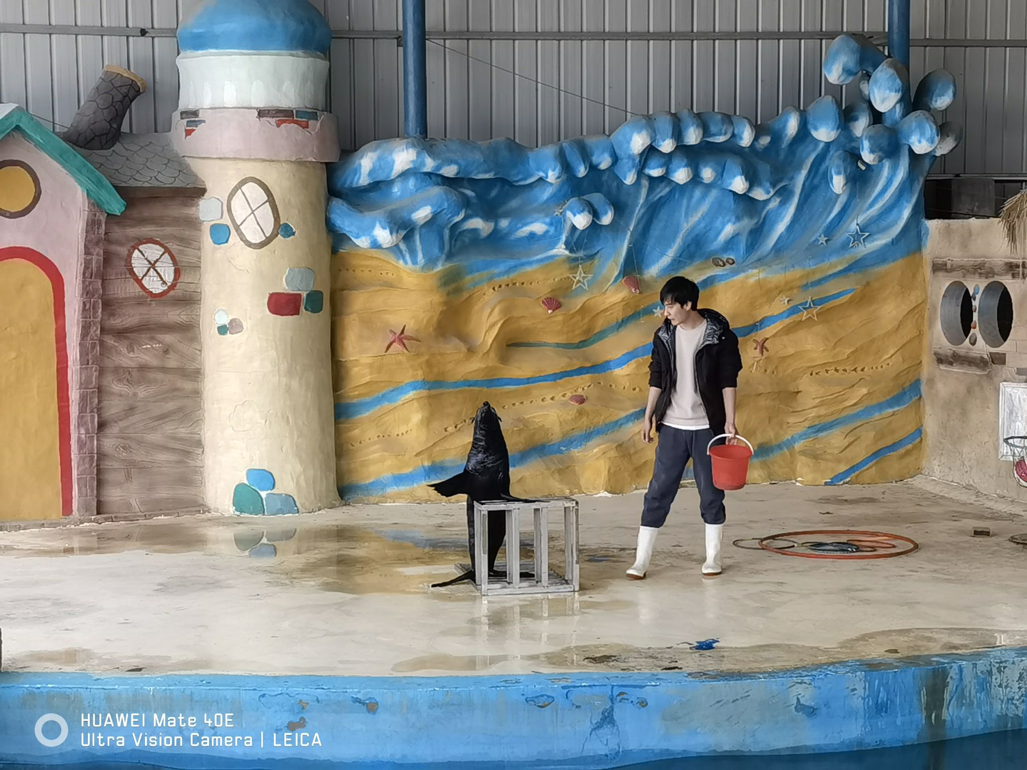 南湖公园旅行图片 2