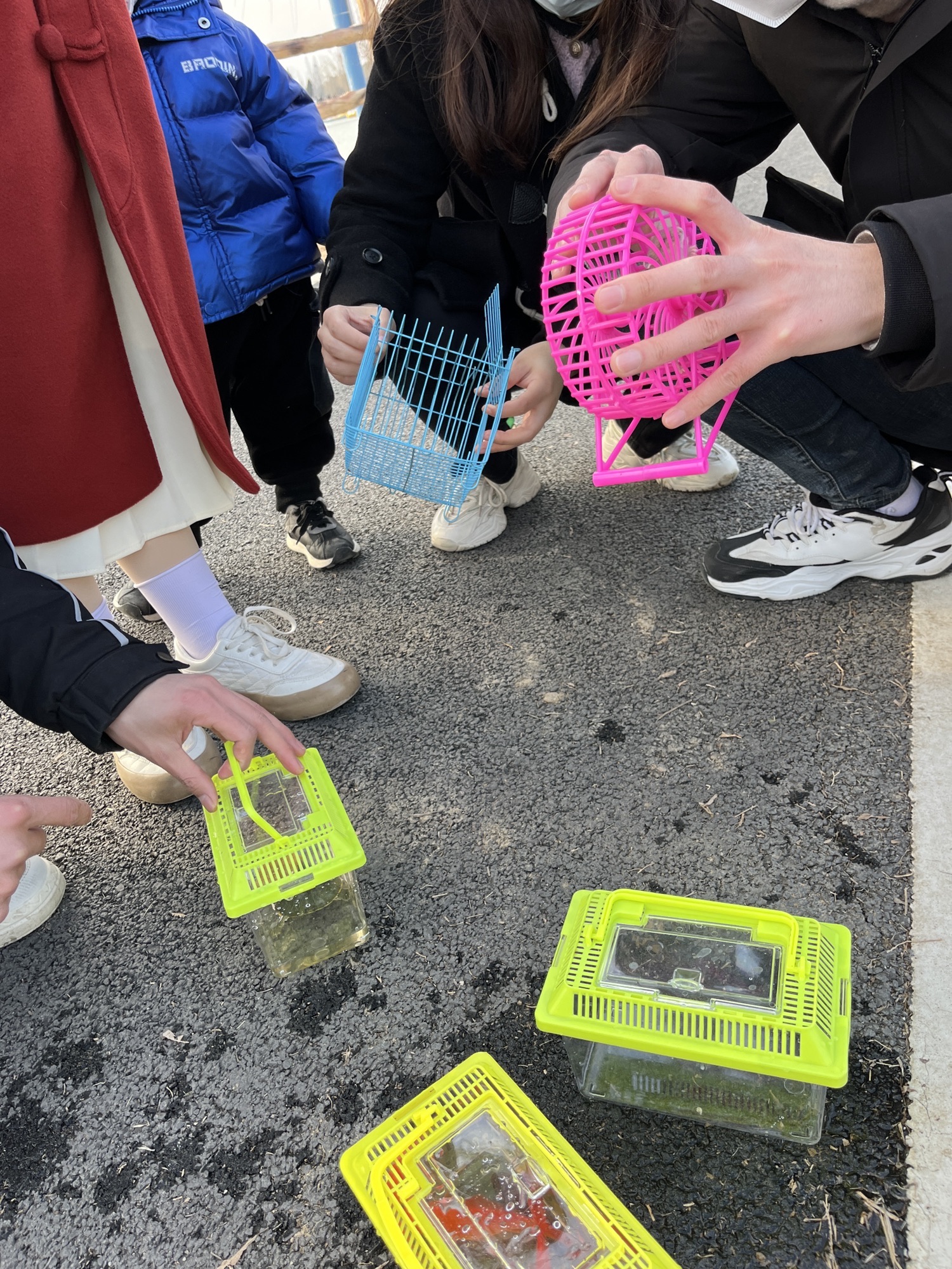 南湖公园旅行图片 2