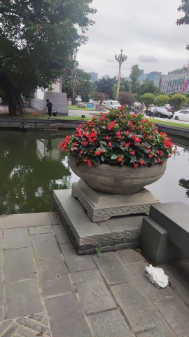 易园园林博物馆旅行图片 1