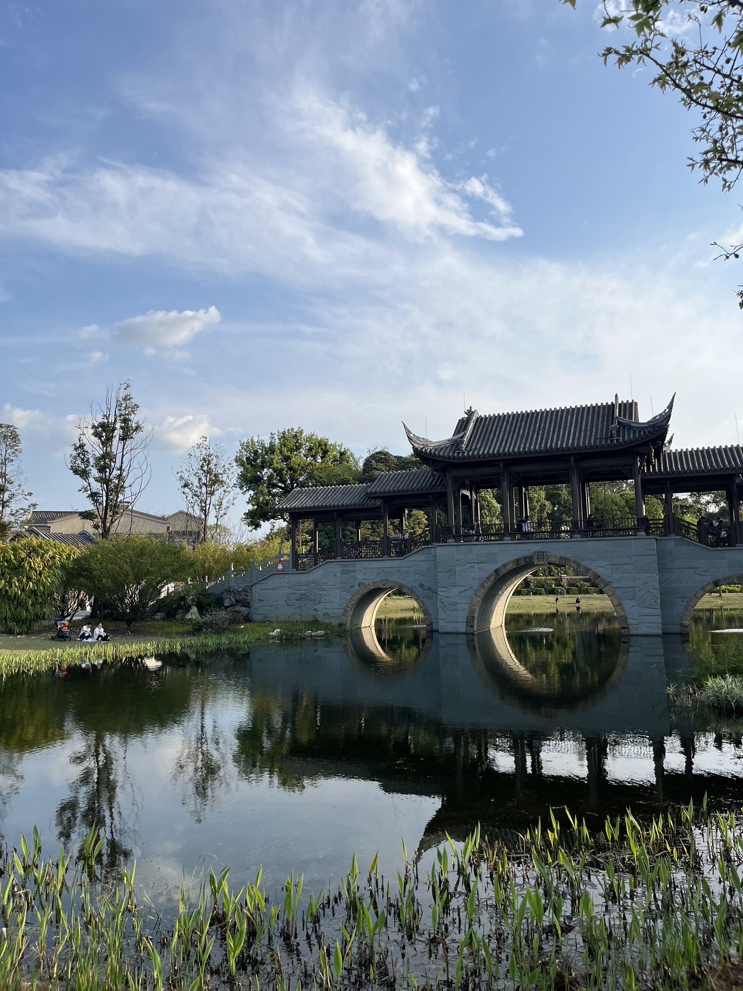 易园园林博物馆旅行图片 3