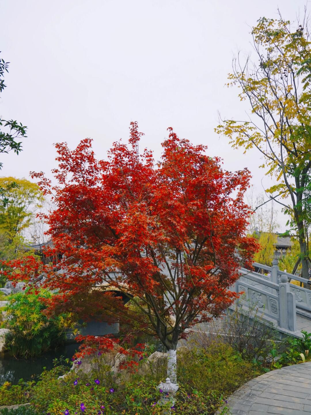 易园园林博物馆旅行图片 3