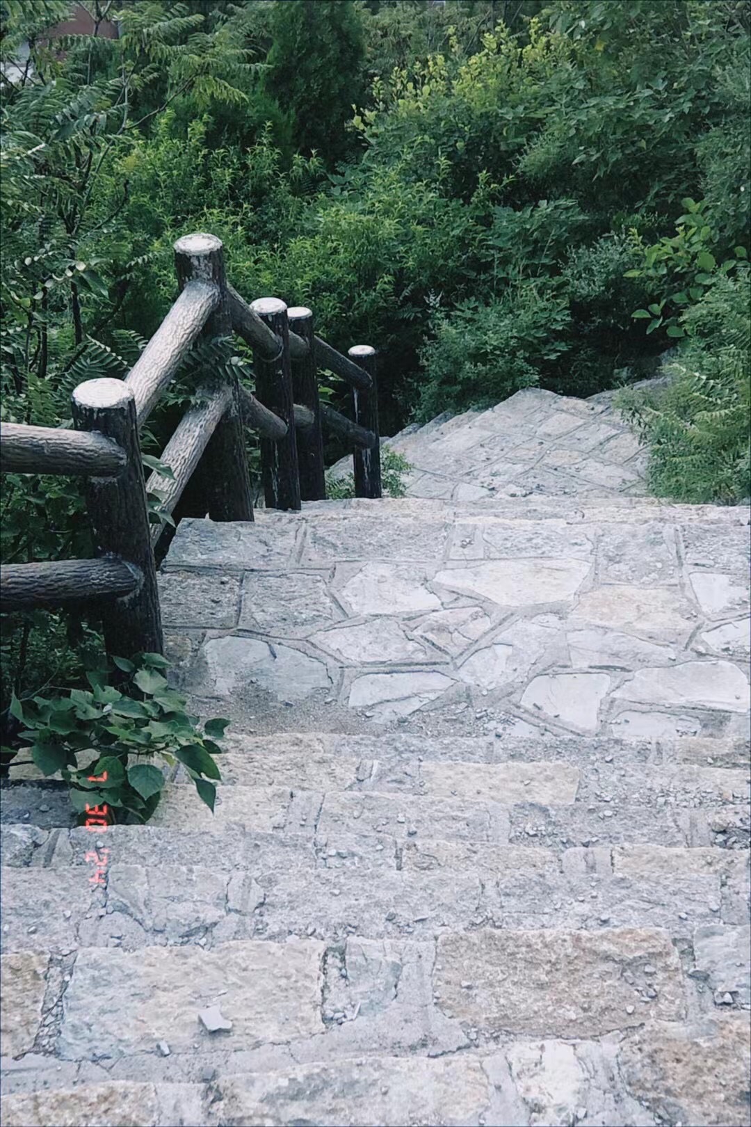 徐志摩纪念公园旅行图片 2