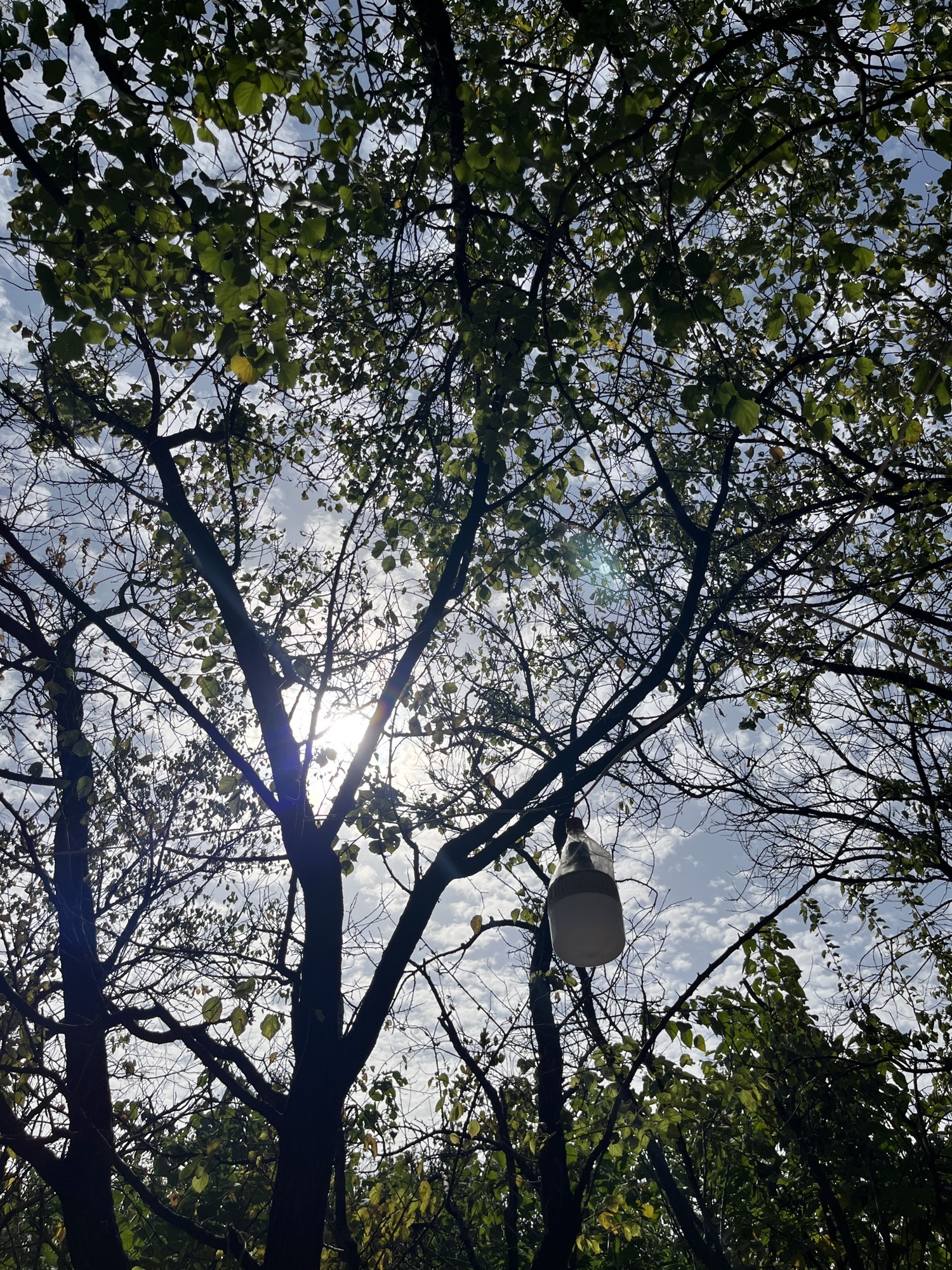 徐志摩纪念公园旅行图片 1