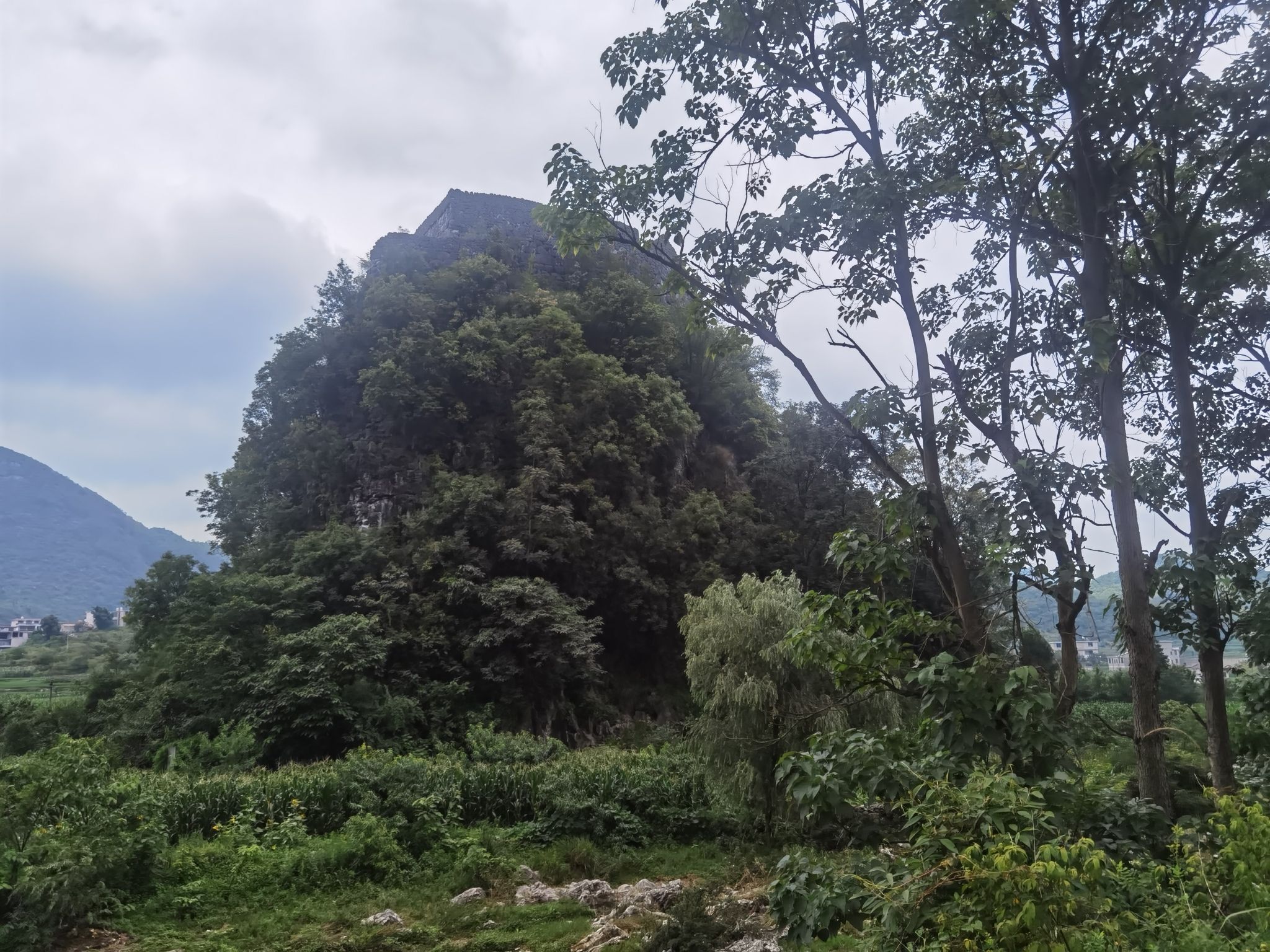 板梅古堡旅行图片 1