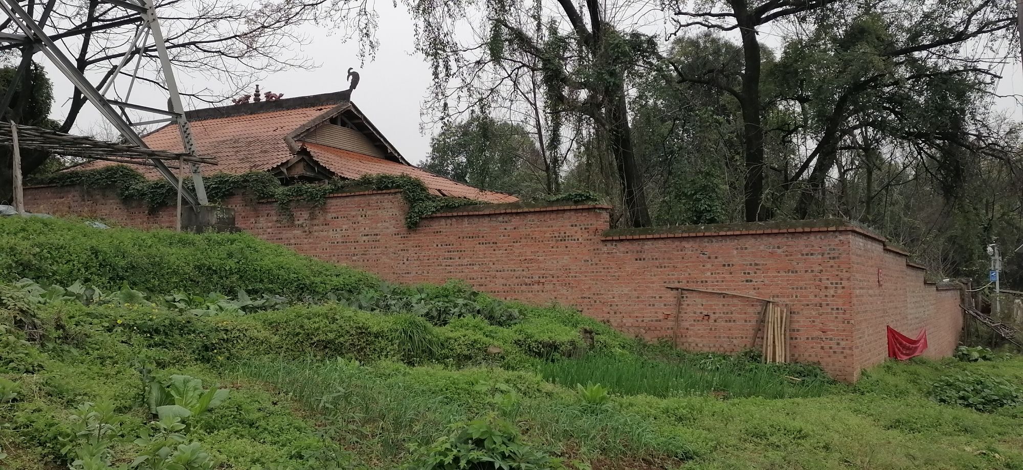 白居寺旅行图片 3