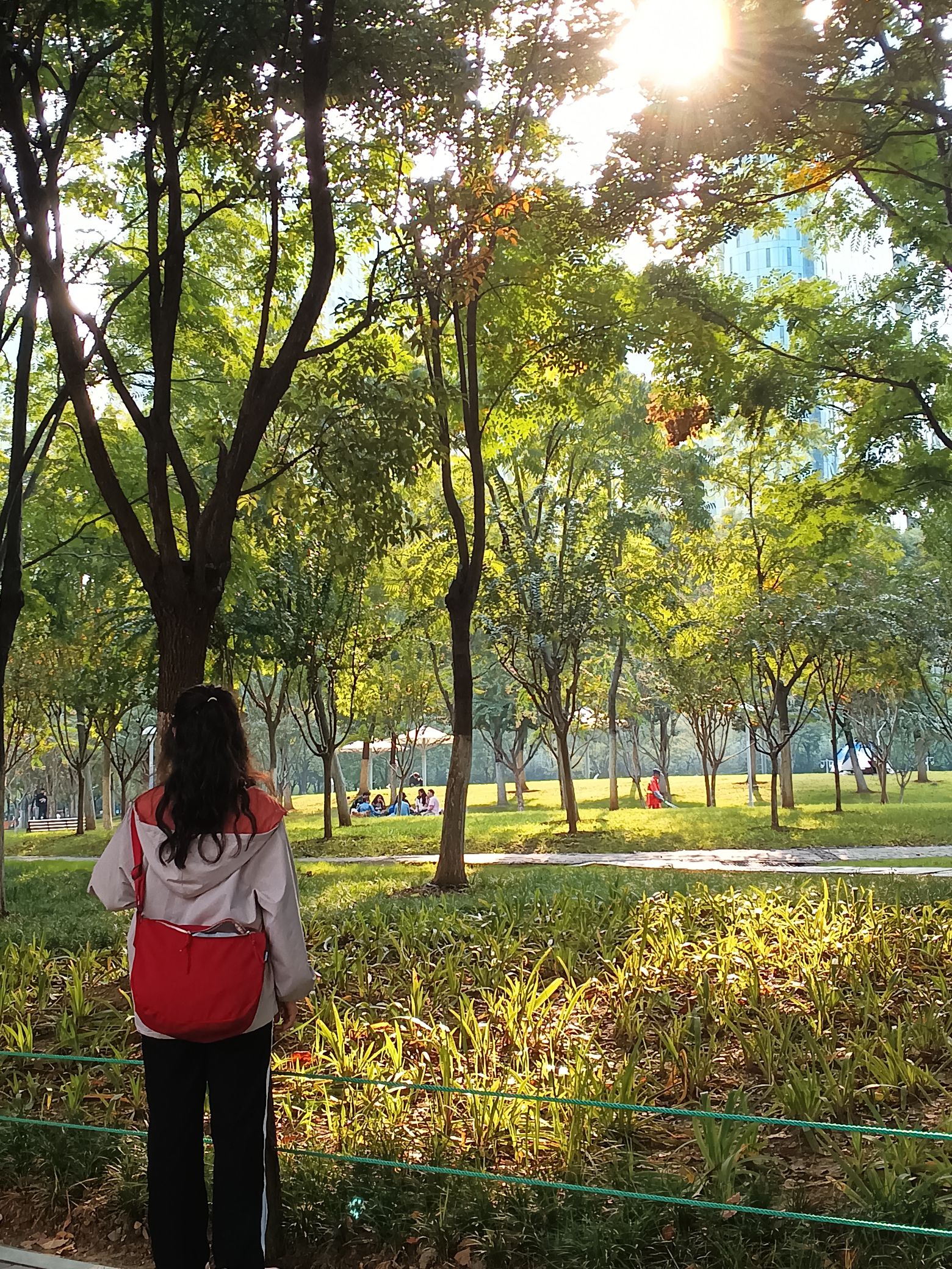 绿轴公园旅行图片 3