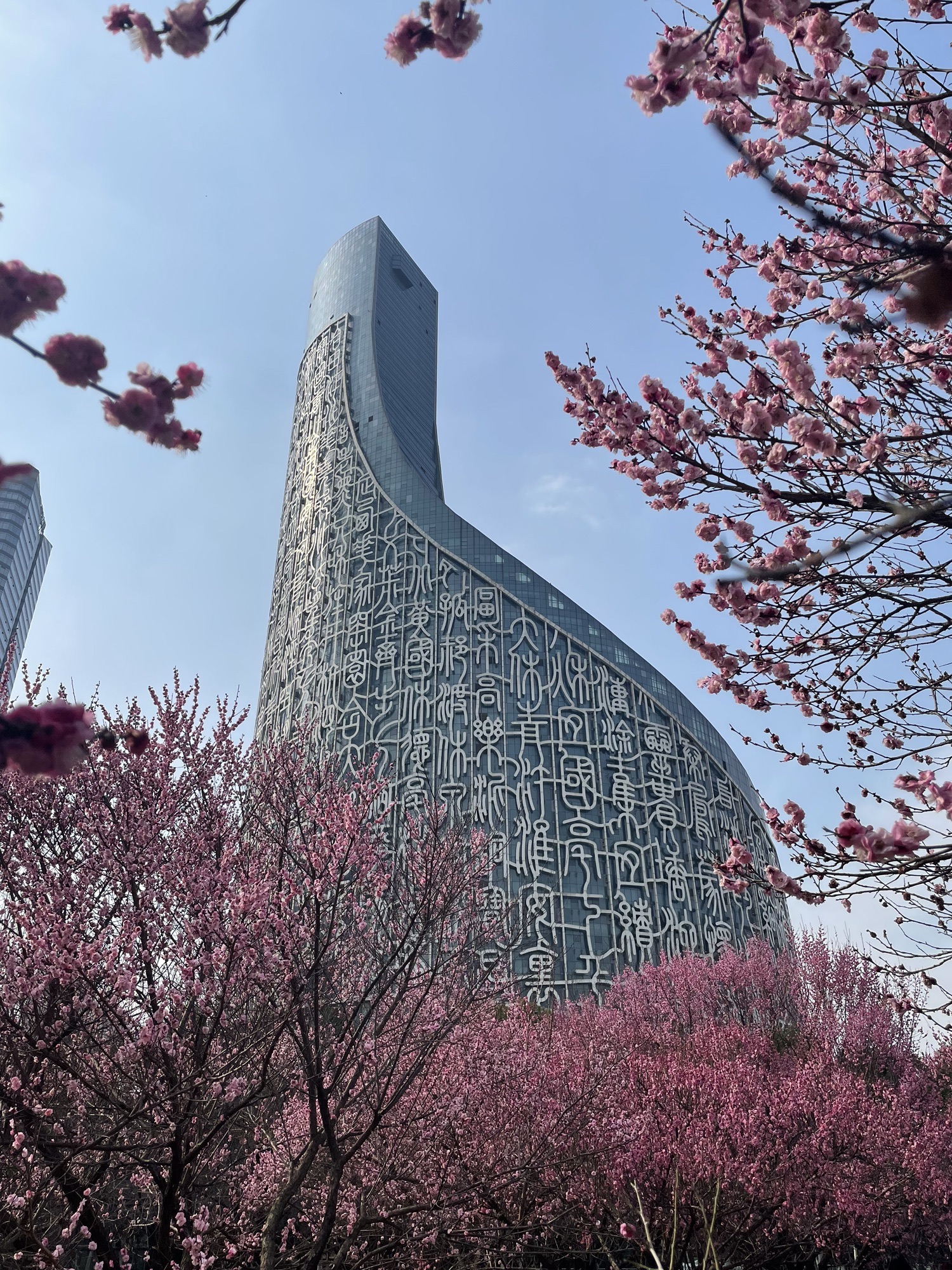 绿轴公园旅行图片 2