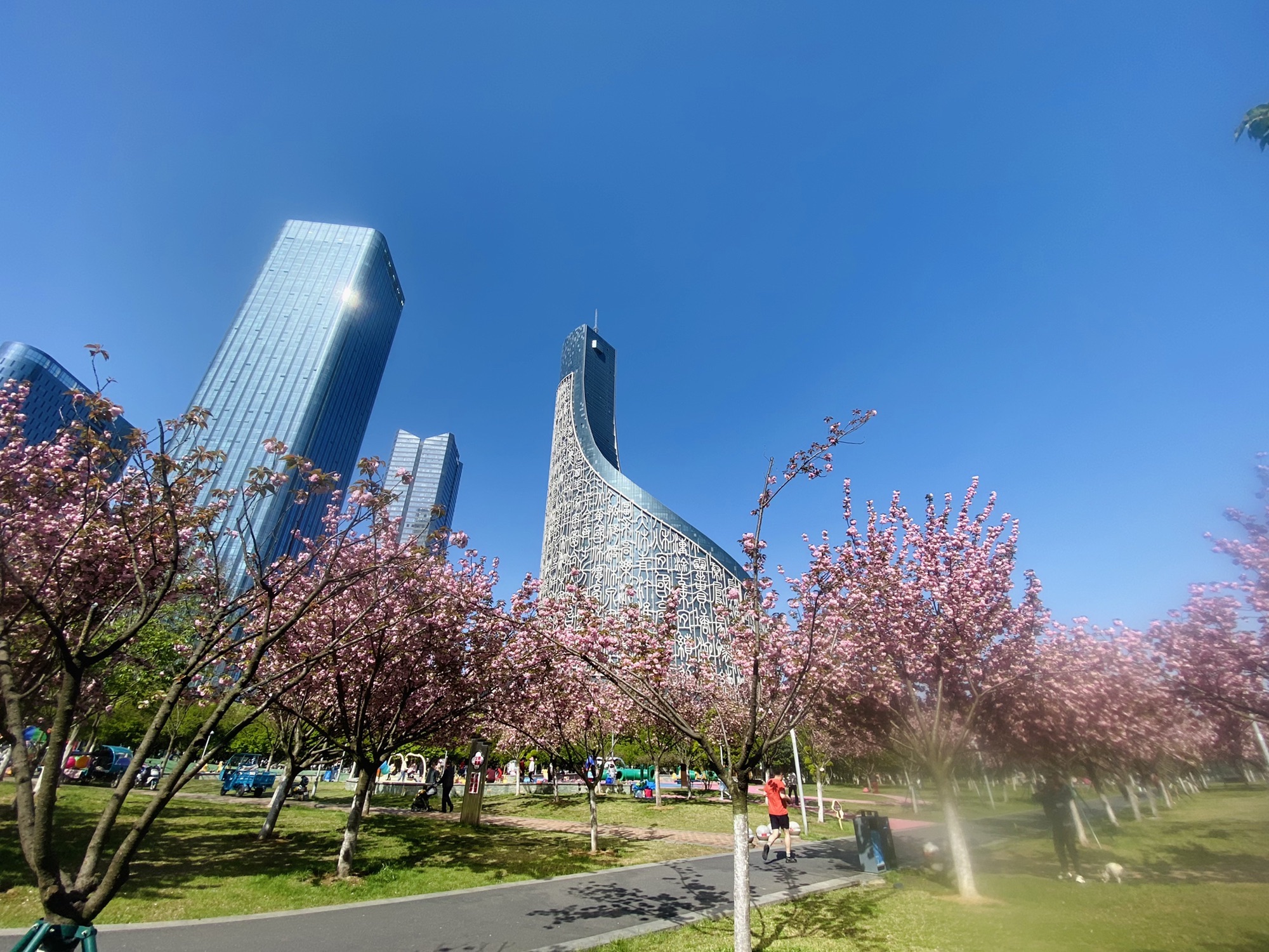 绿轴公园旅行图片 1