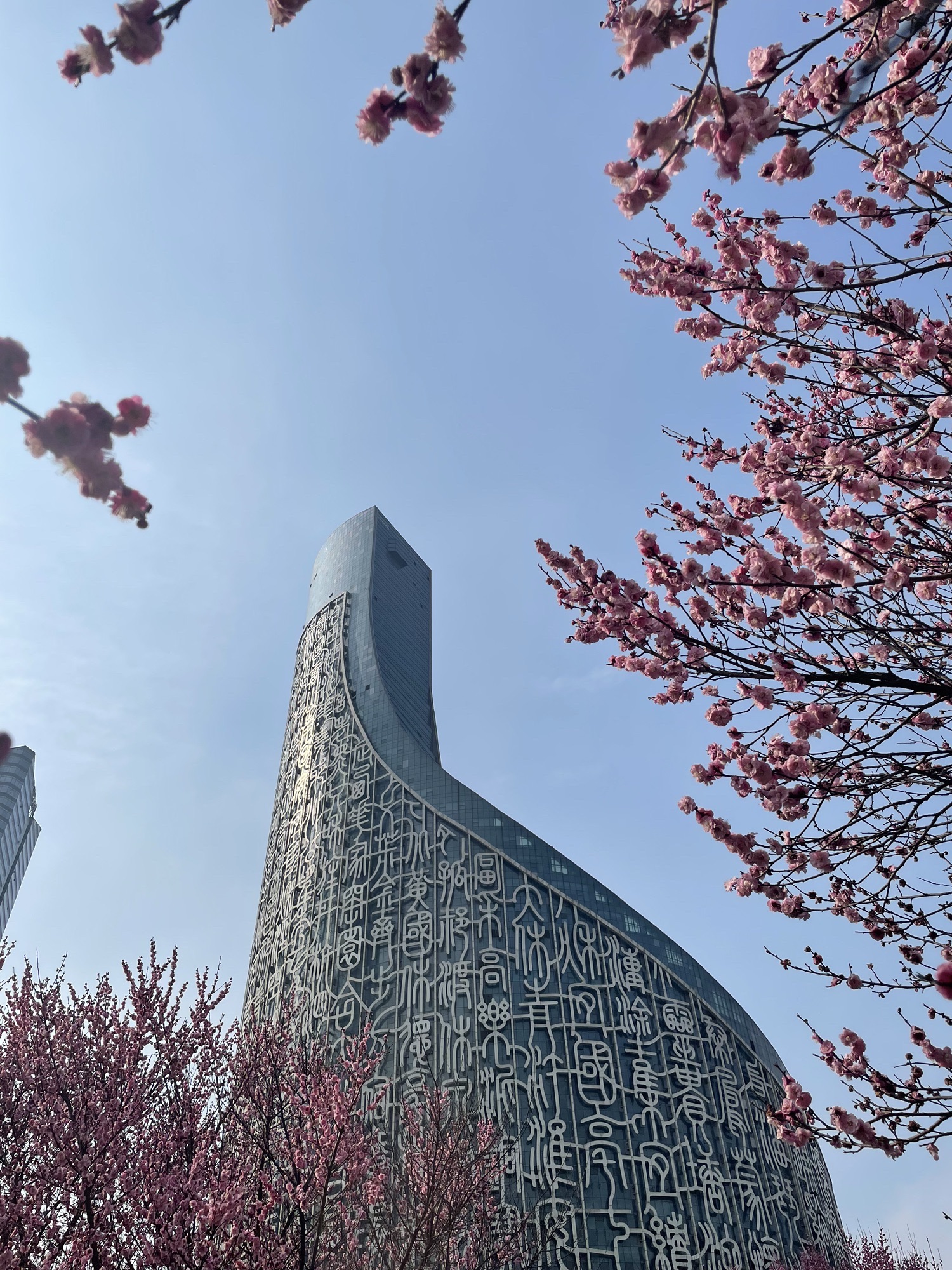 绿轴公园旅行图片 1