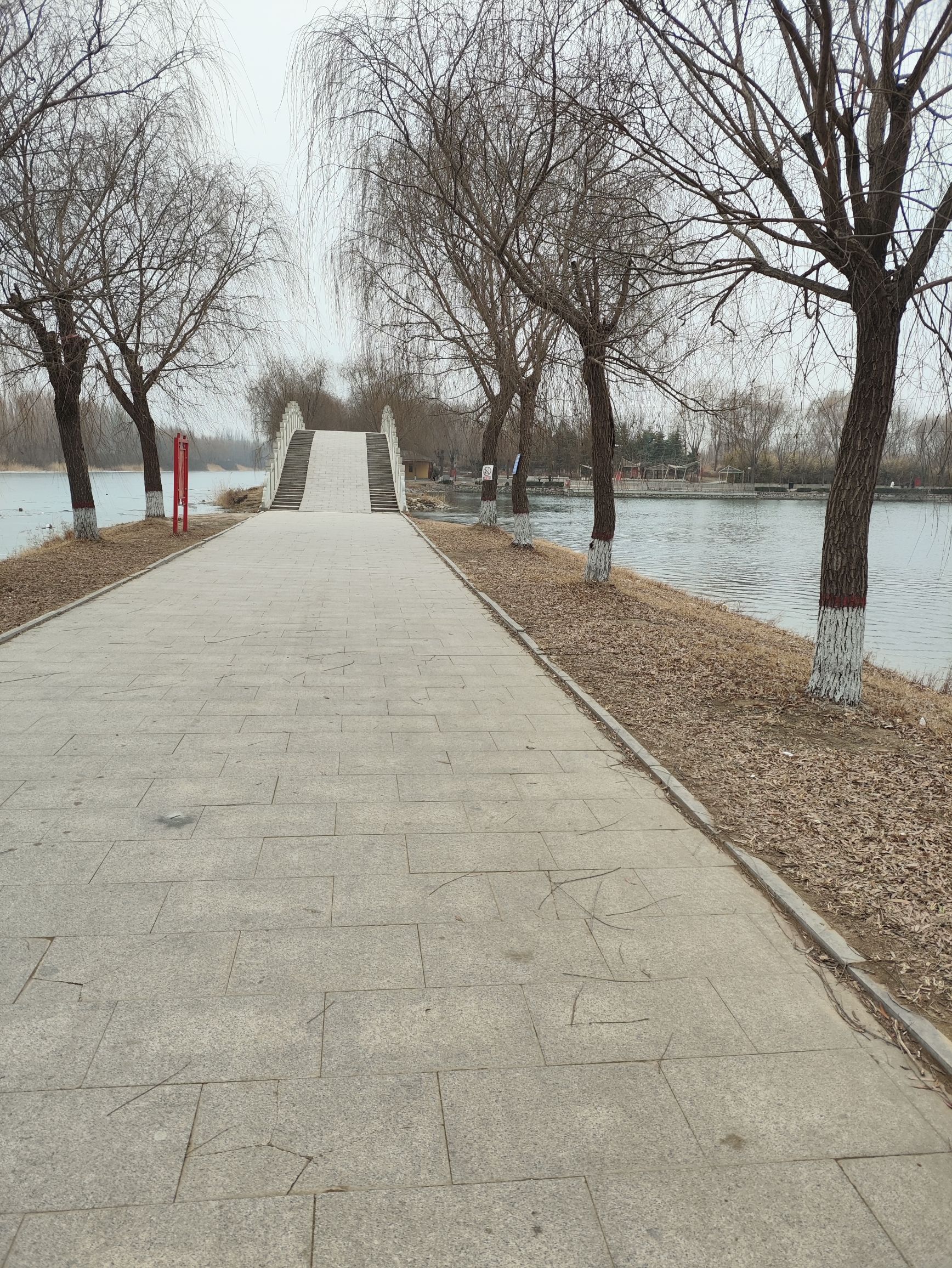印月湖公园旅行图片 3