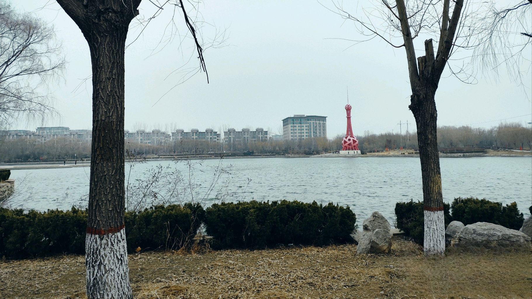印月湖公园旅行图片 2
