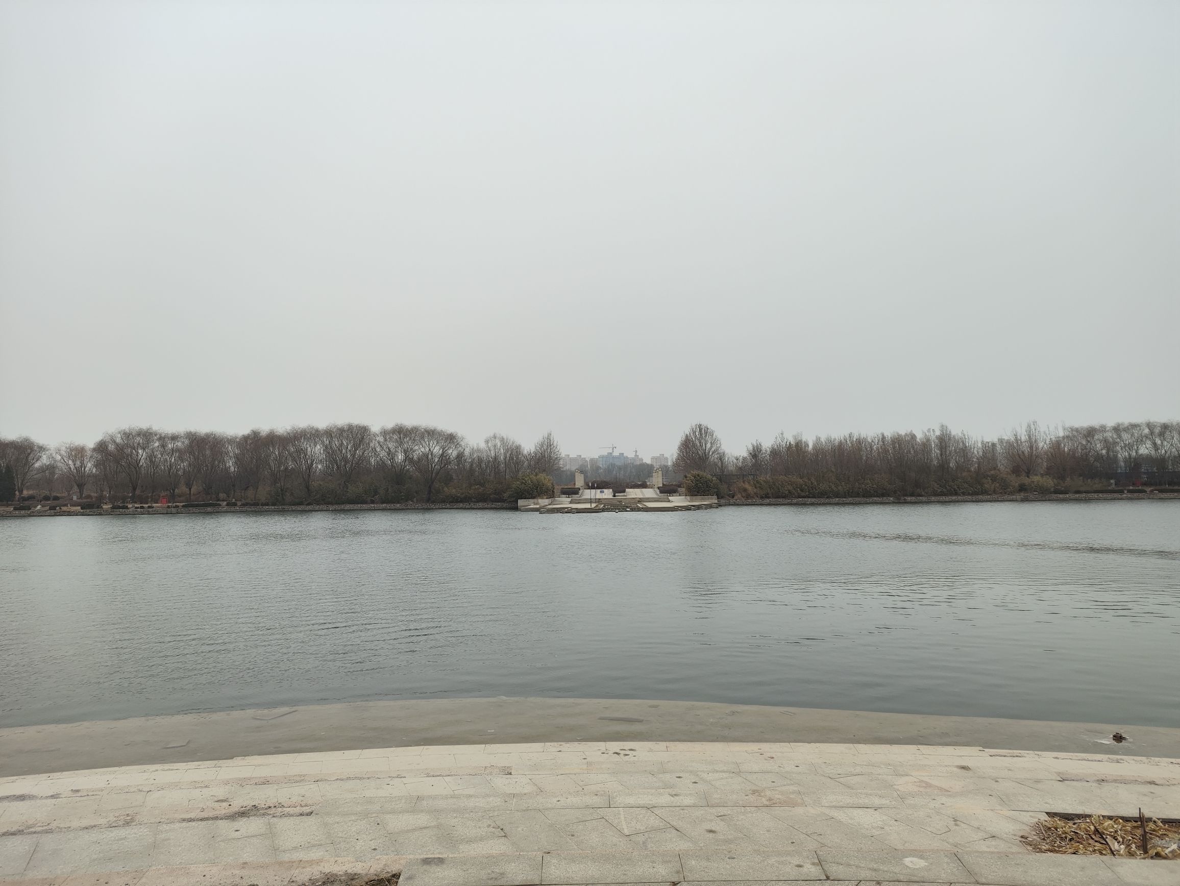 印月湖公园旅行图片 2
