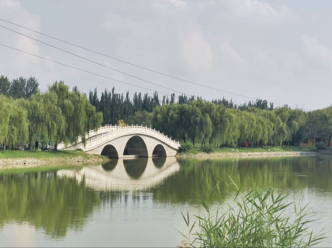 印月湖公园旅行图片 3