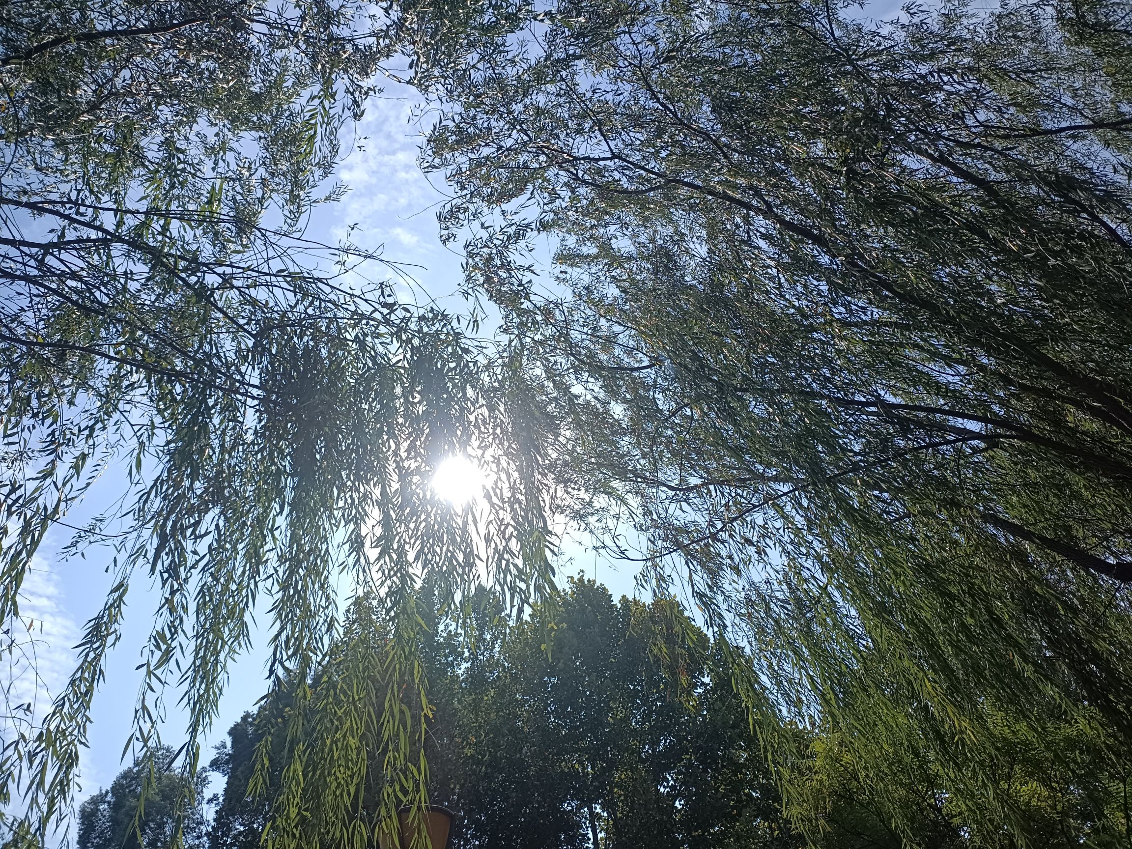 印月湖公园旅行图片 2