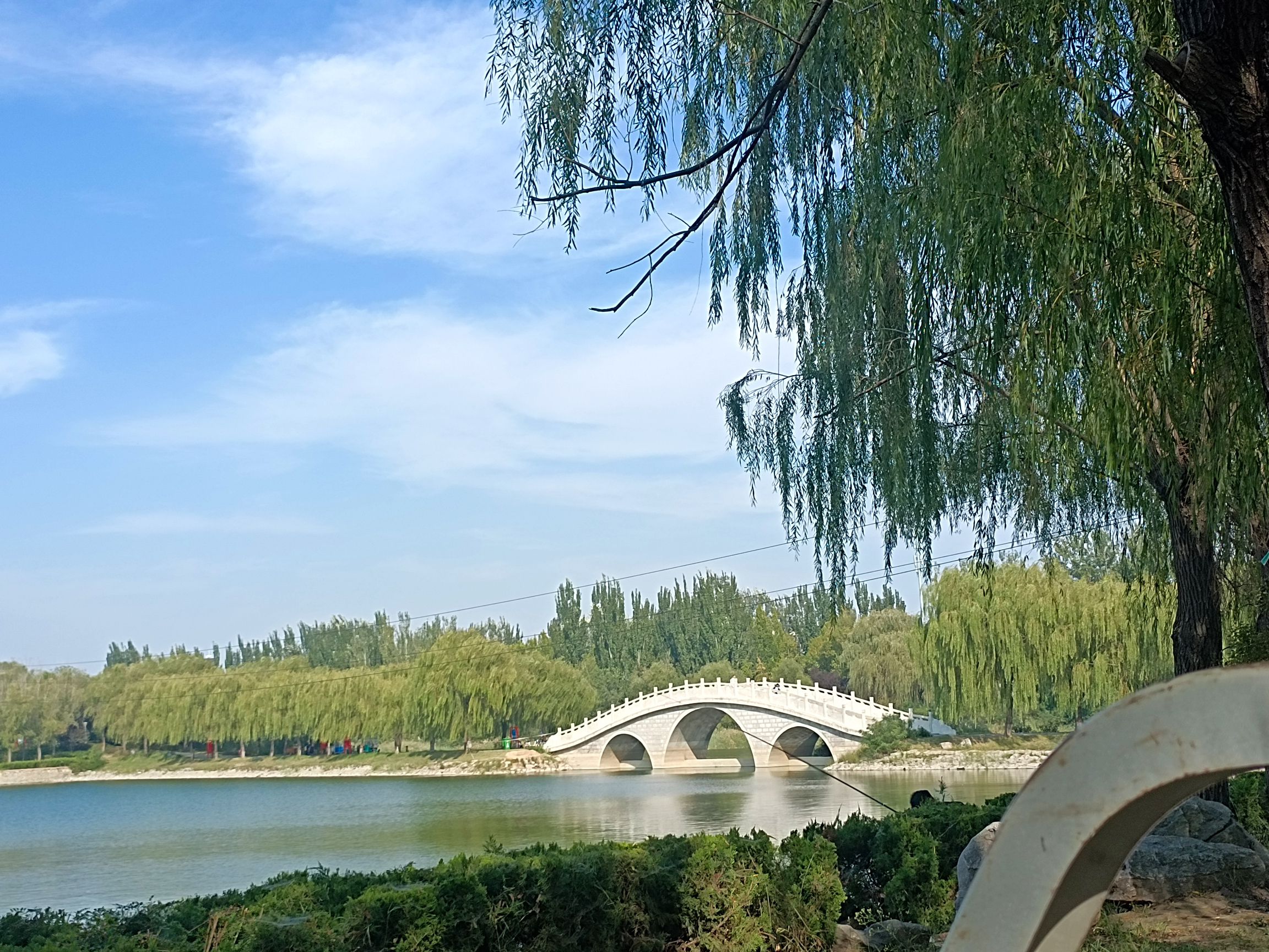 印月湖公园旅行图片 1