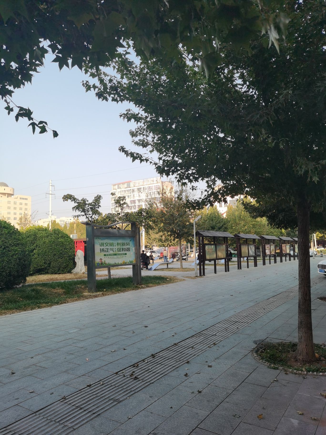 永年太极广场旅行图片 2
