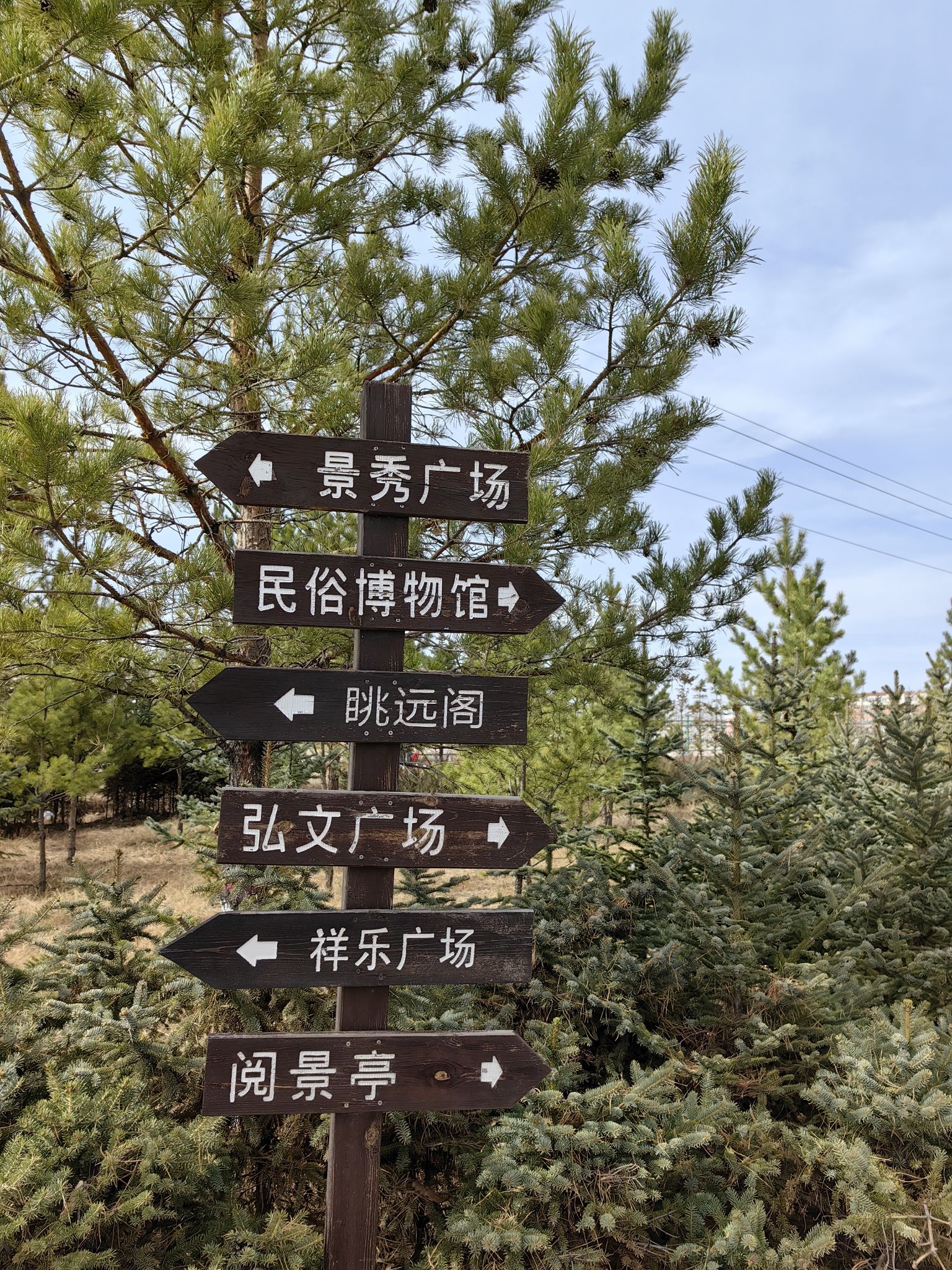 南湖生态公园旅行图片 1