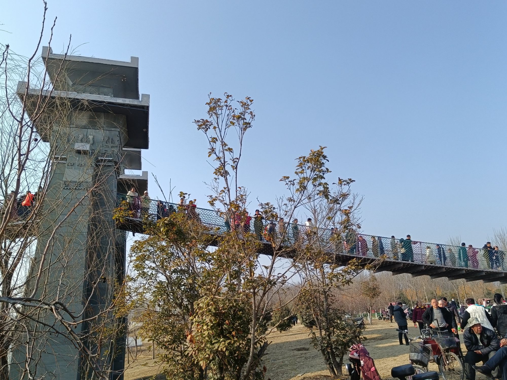 杜村寺湿地旅行图片 3