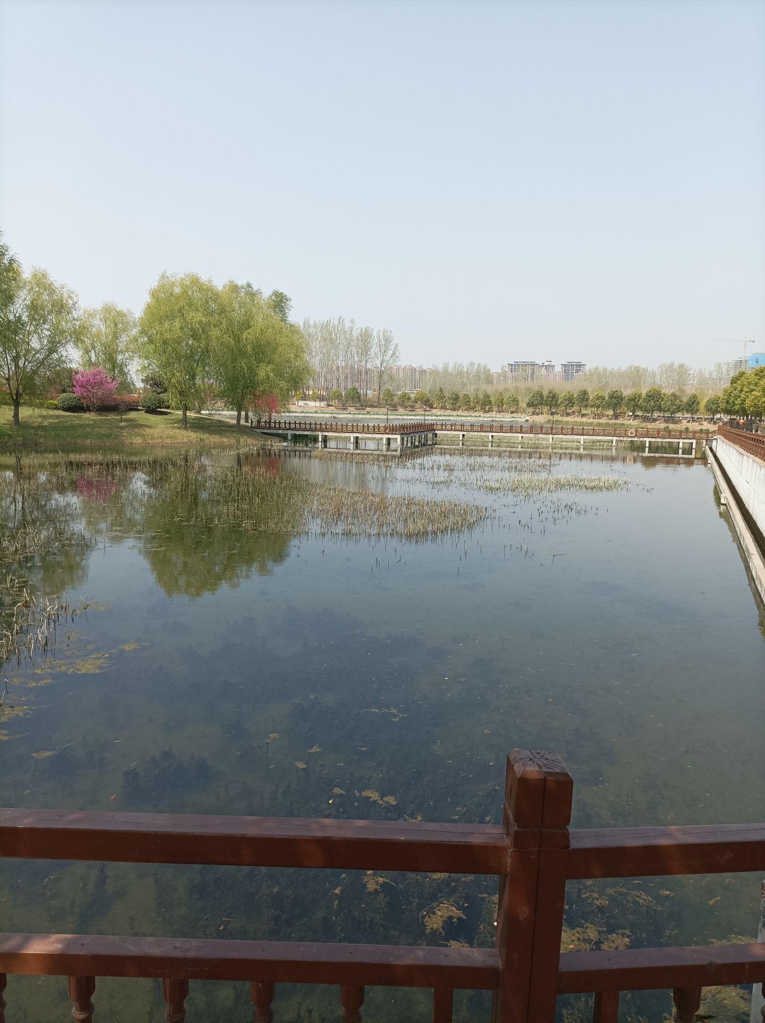 杜村寺湿地旅行图片 2
