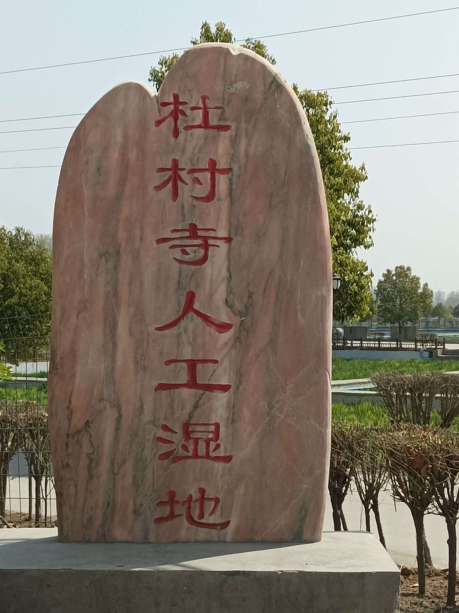 杜村寺湿地旅行图片 1