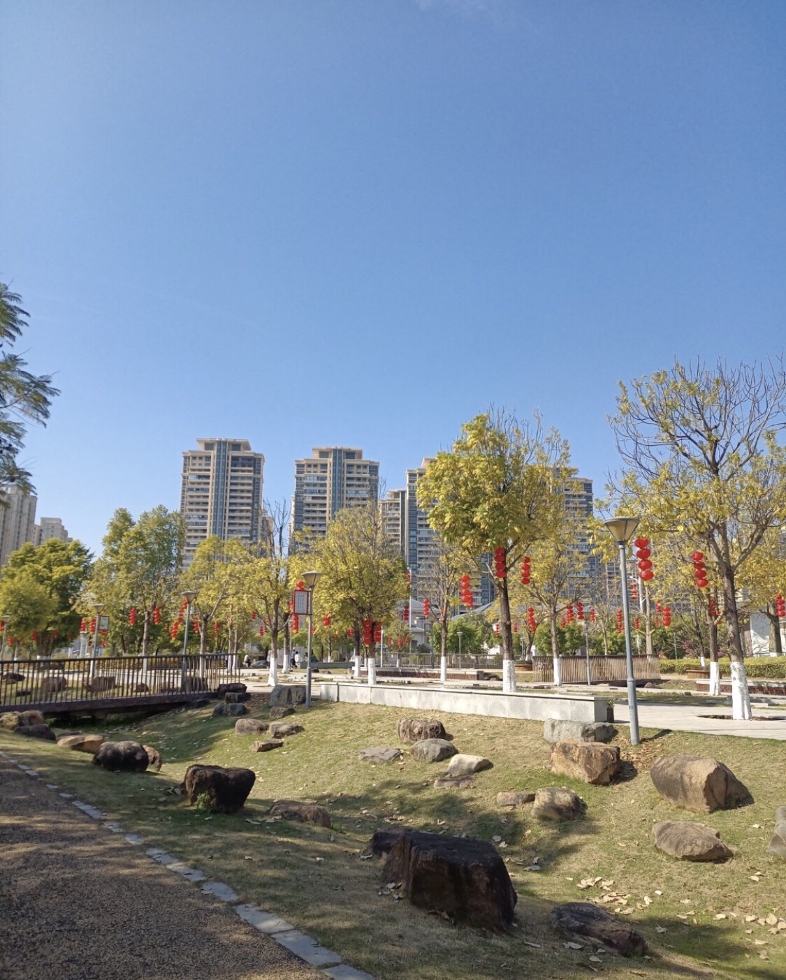 东江湾公园旅行图片 3