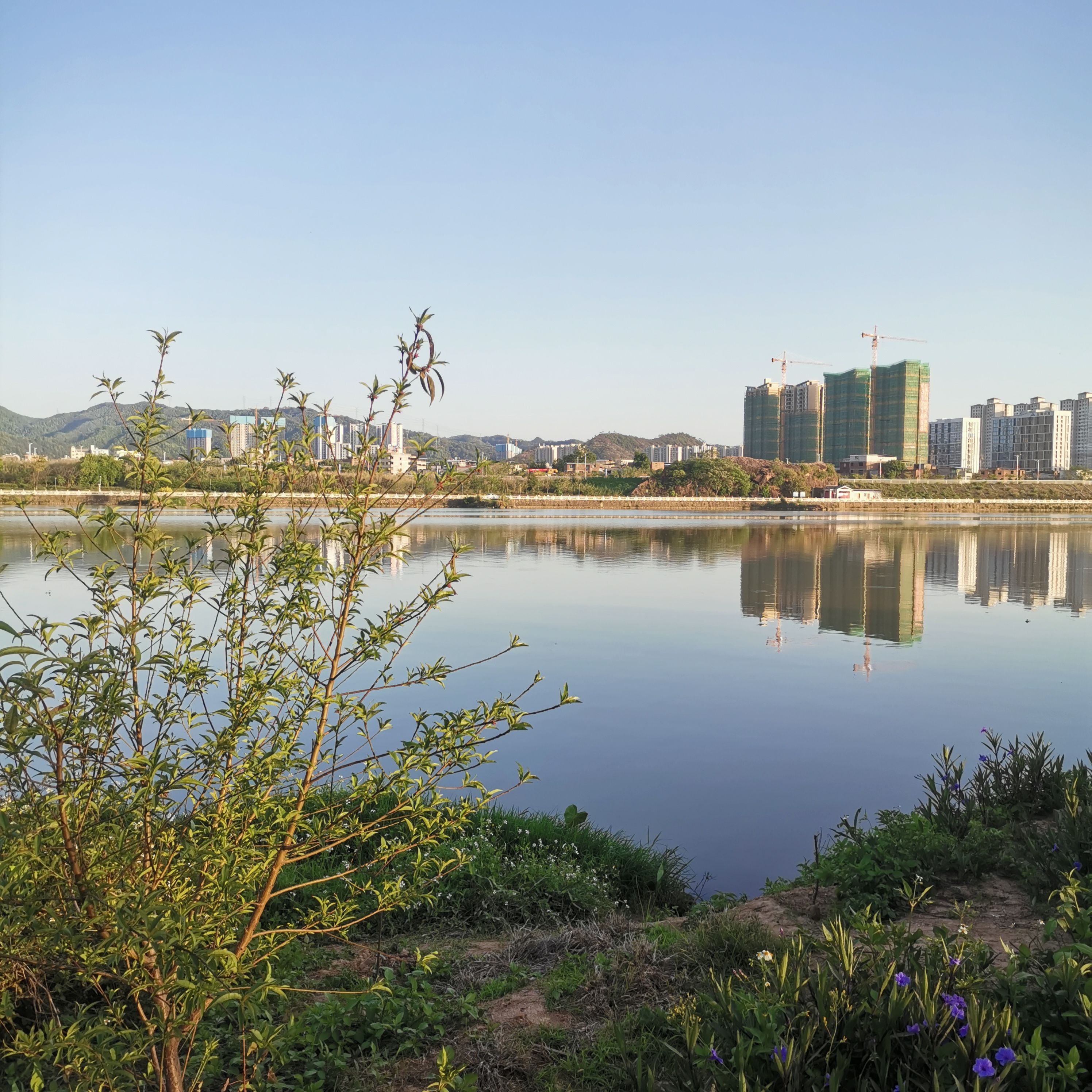 东江湾公园旅行图片 3