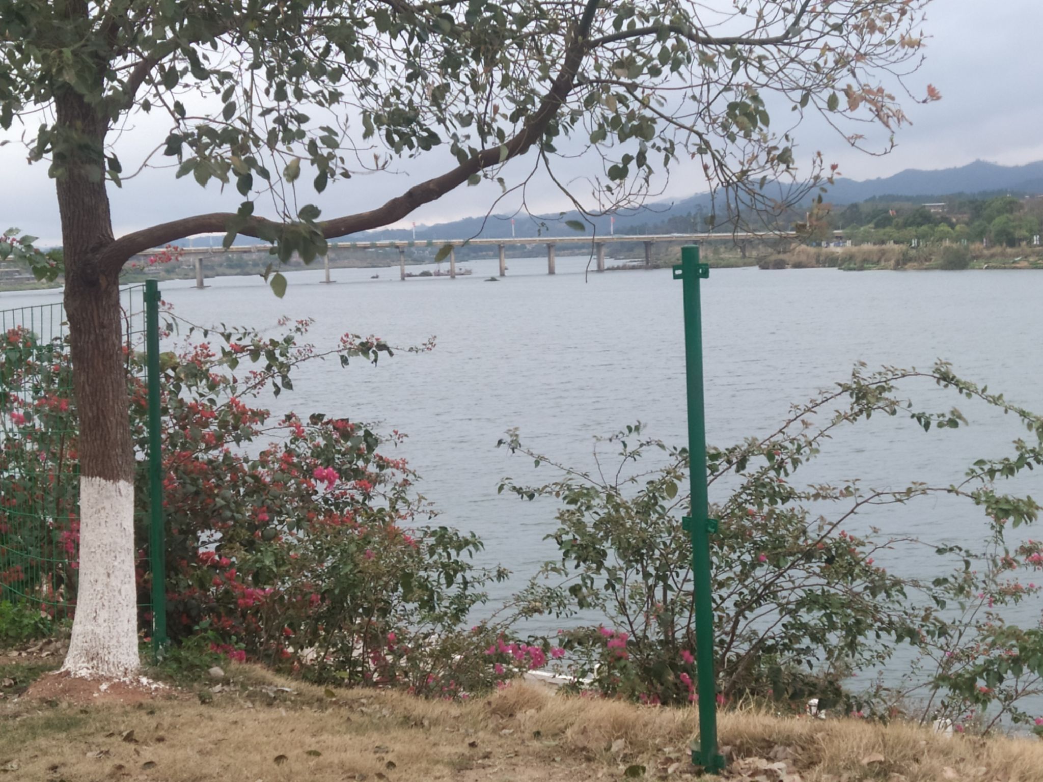 东江湾公园旅行图片 1