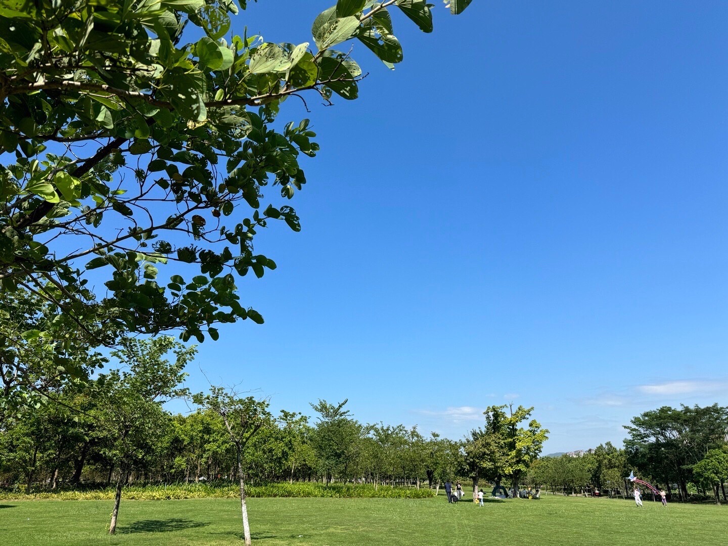 东江湾公园旅行图片 1