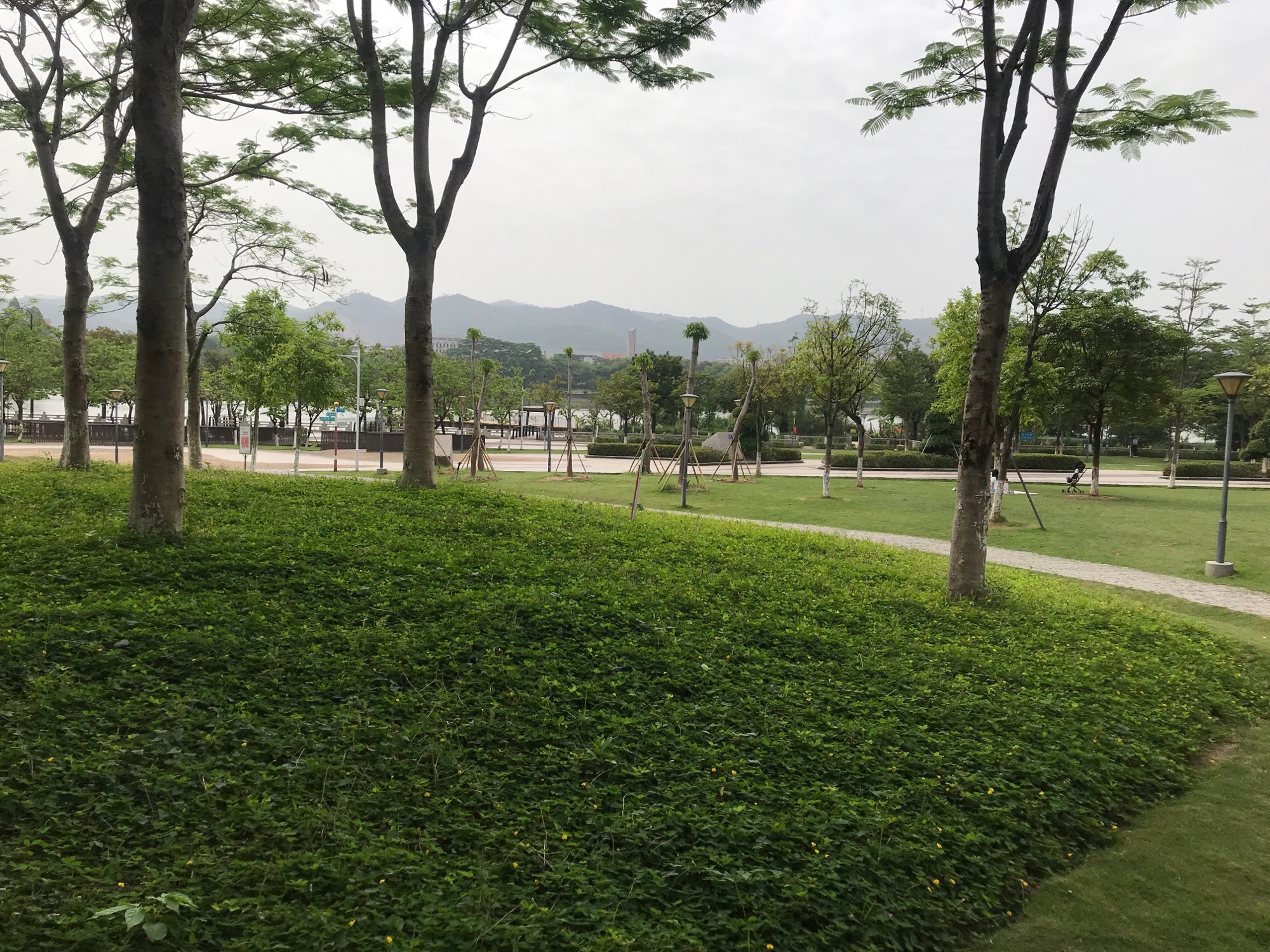 东江湾公园旅行图片 1