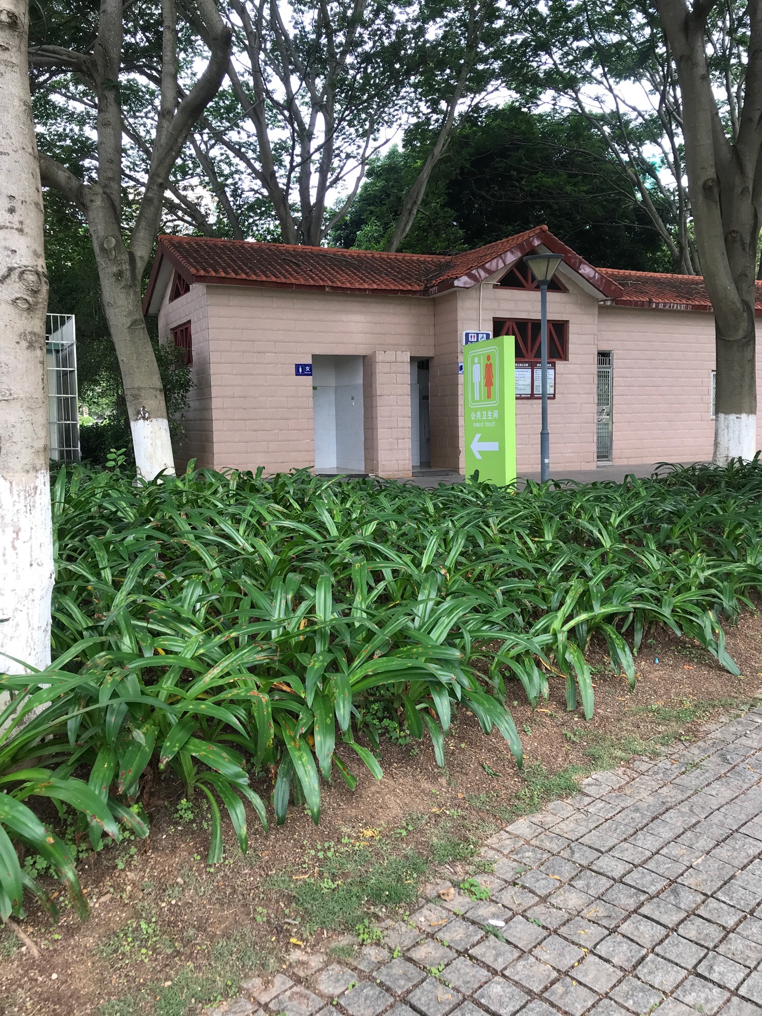 东江湾公园旅行图片 2
