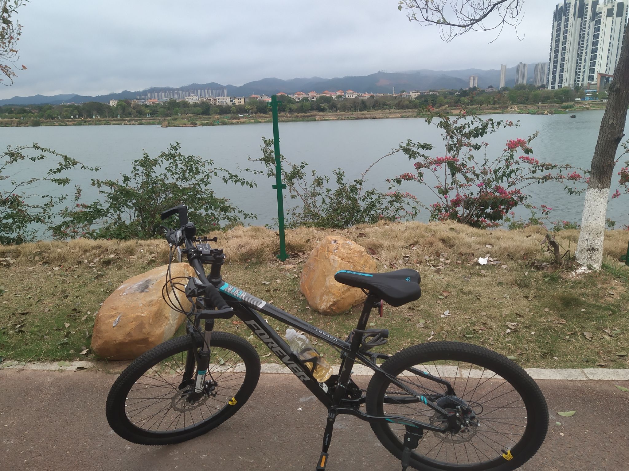东江湾公园旅行图片 3