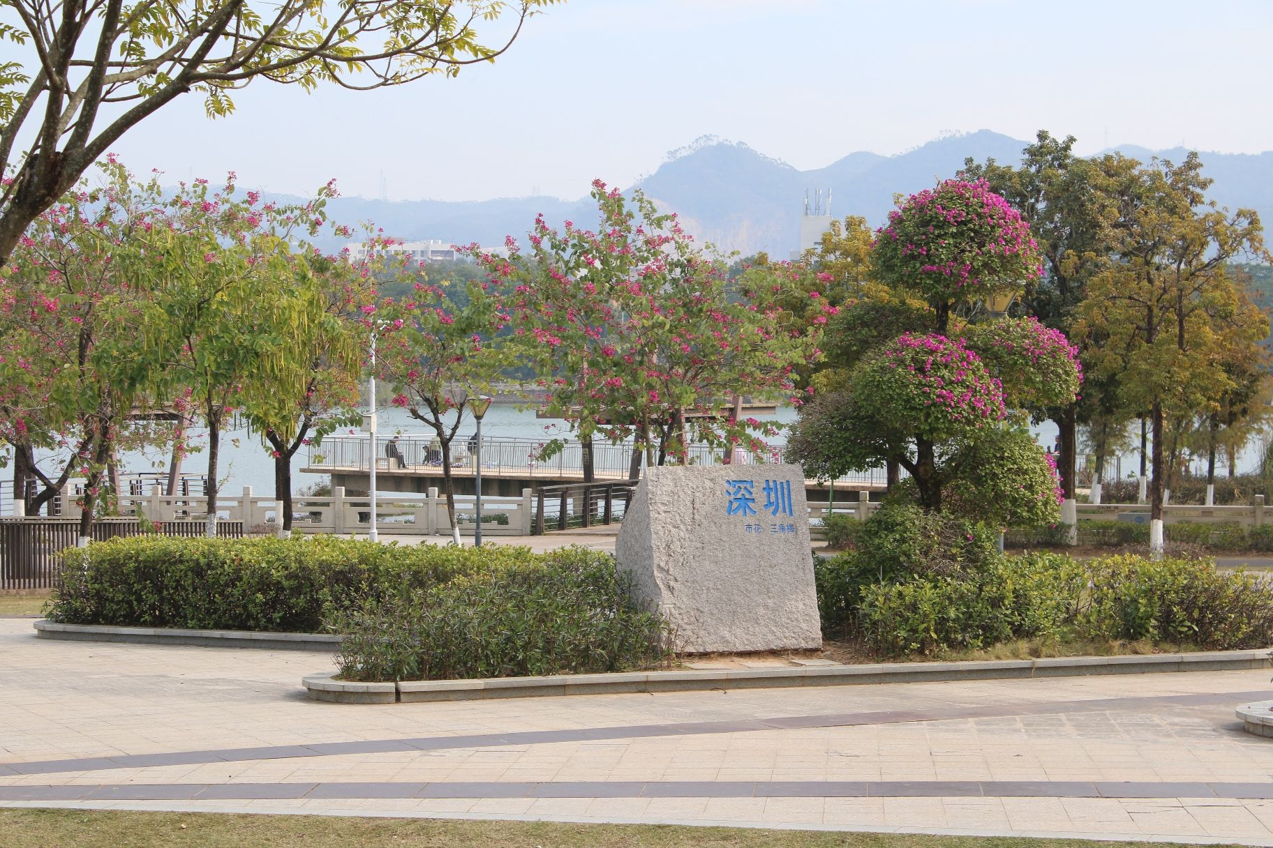 东江湾公园旅行图片 1