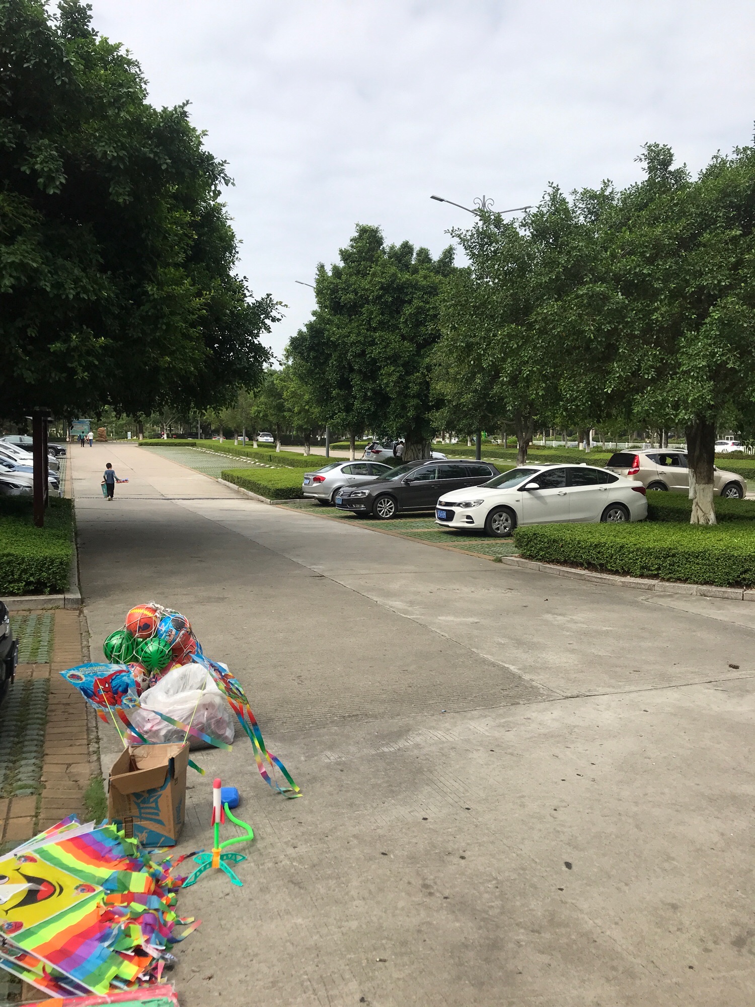 东江湾公园旅行图片 3