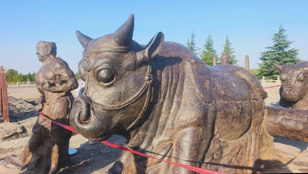 蒲津渡遗址博物馆旅行图片 2