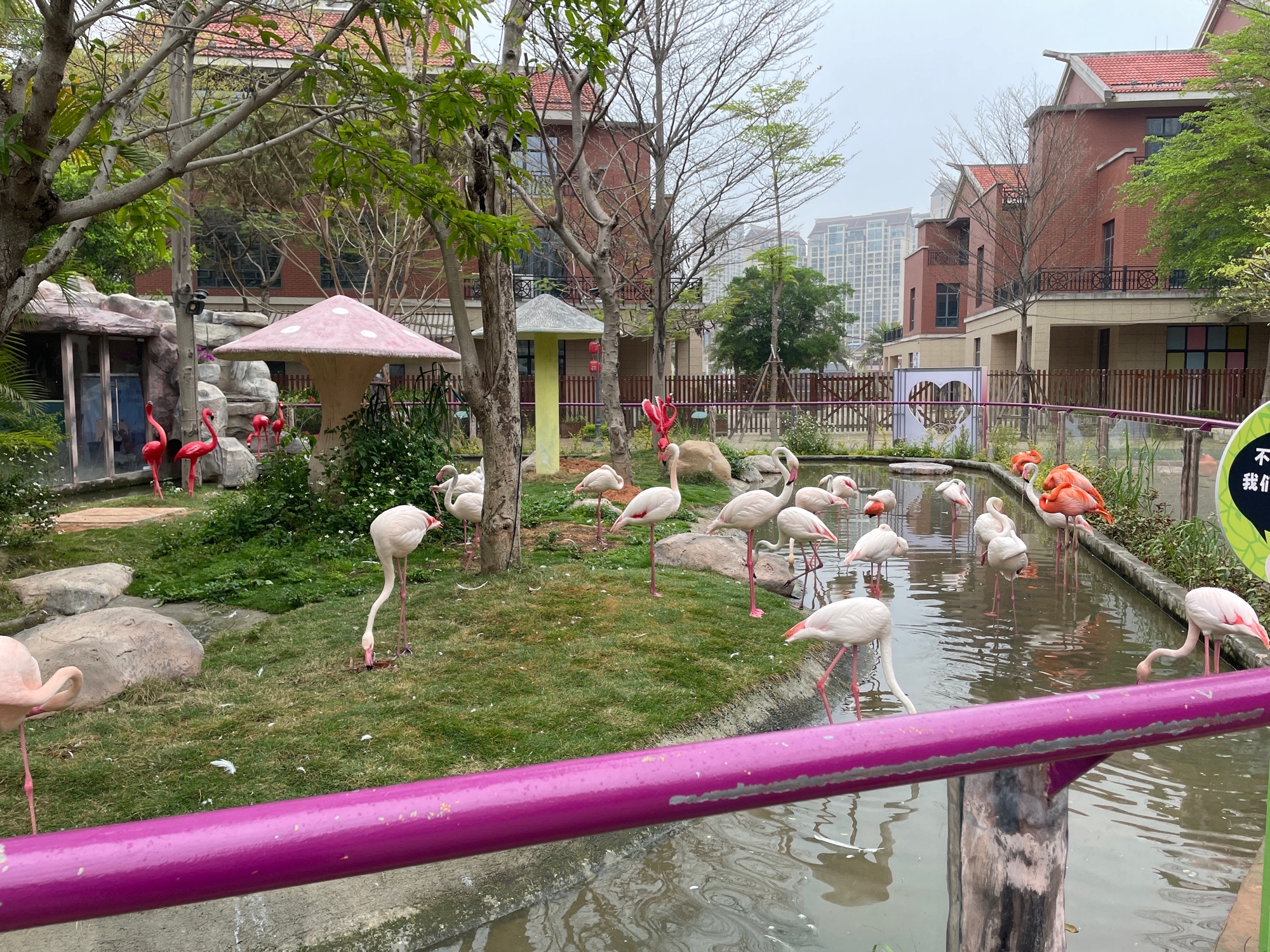 灵玲动物王国旅行图片 1