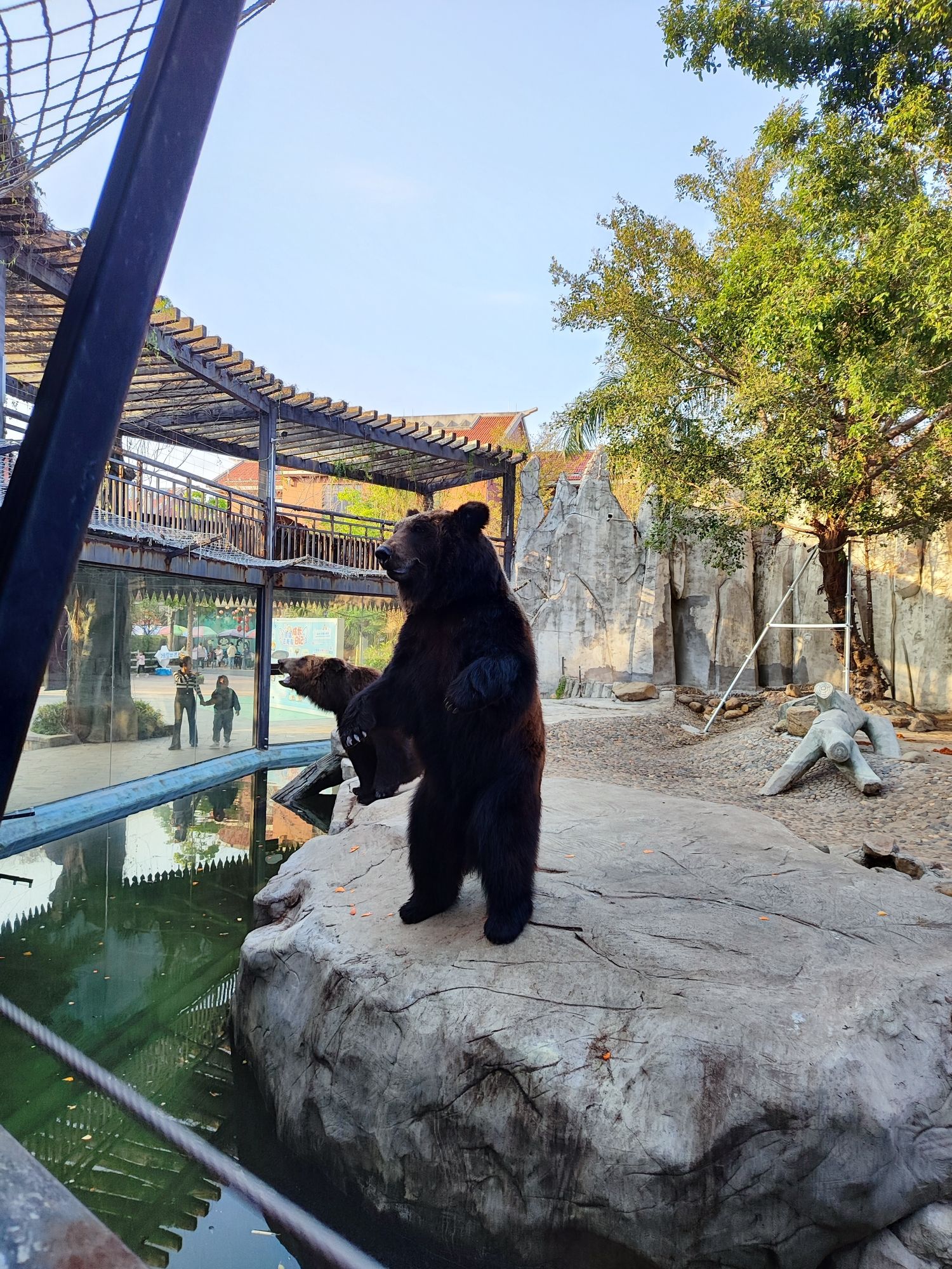 灵玲动物王国旅行图片 1