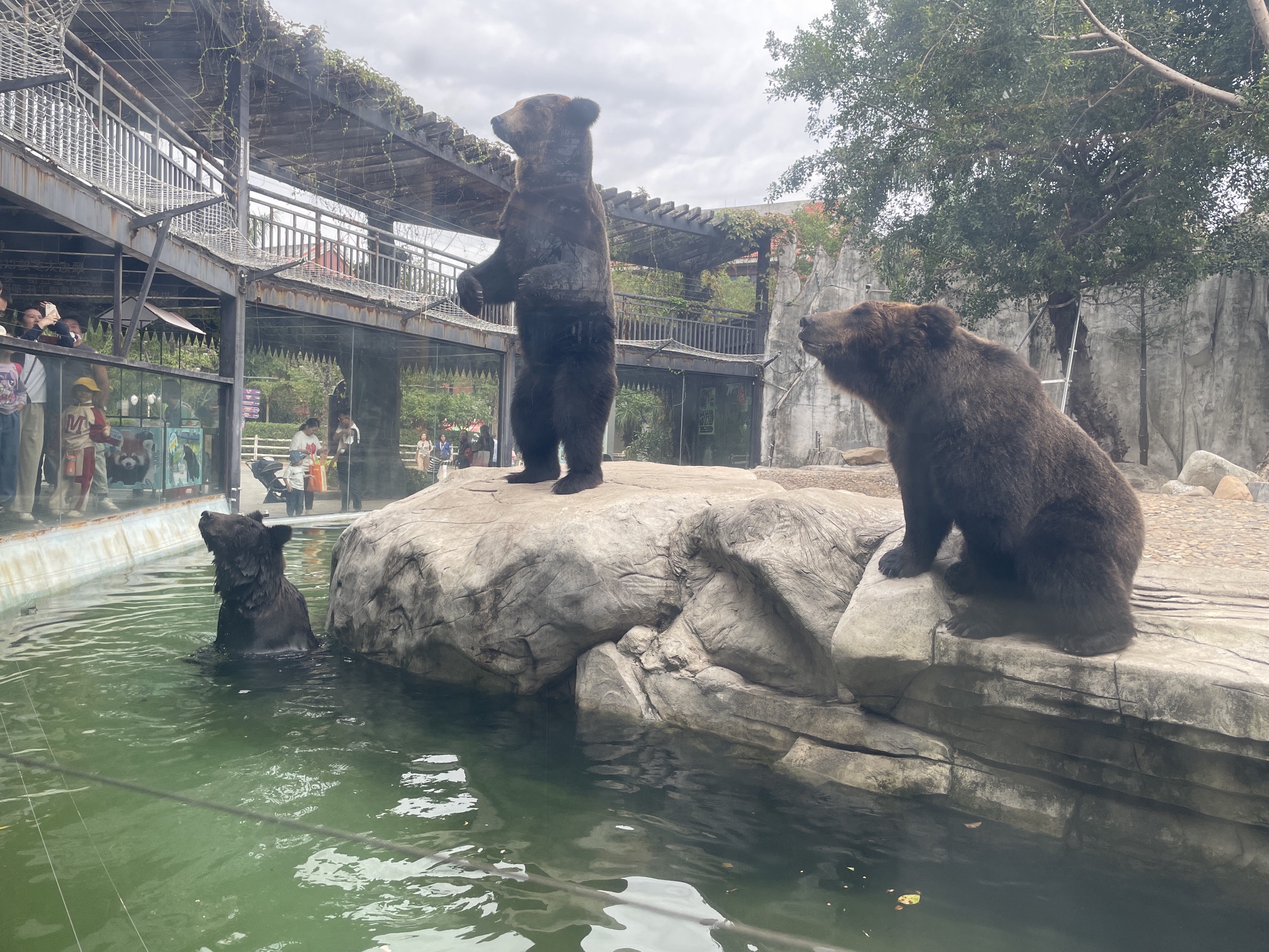 灵玲动物王国旅行图片 3