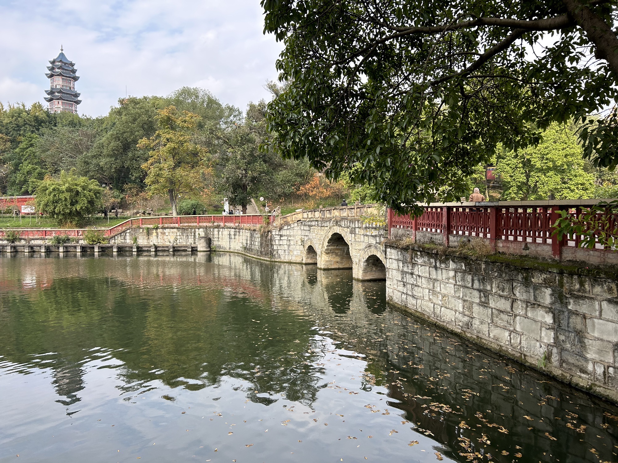 自贡彩灯公园旅行图片 2