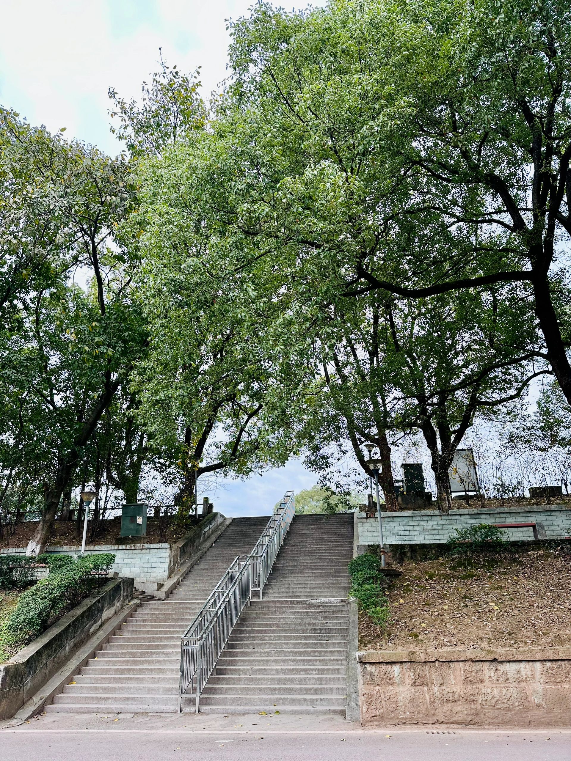 自贡彩灯公园旅行图片 3