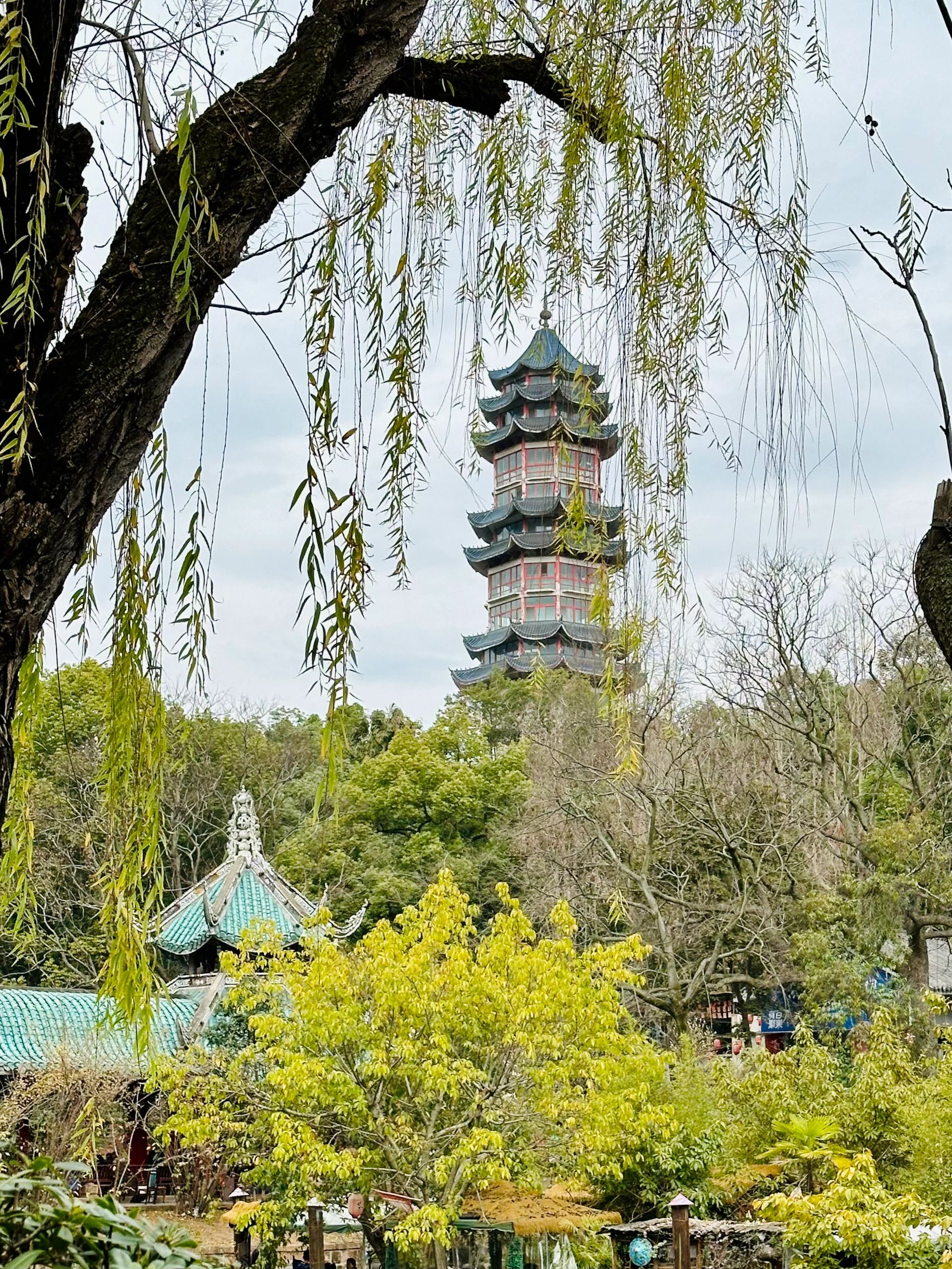 自贡彩灯公园旅行图片 2