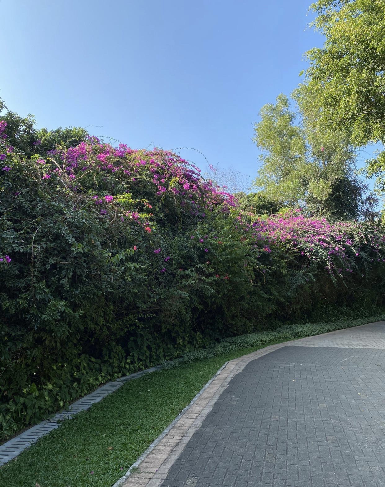 龙城游园旅行图片 1
