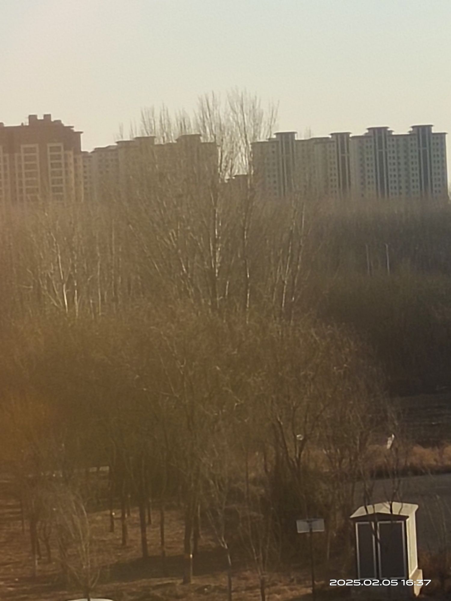 仁厚公园旅行图片 2