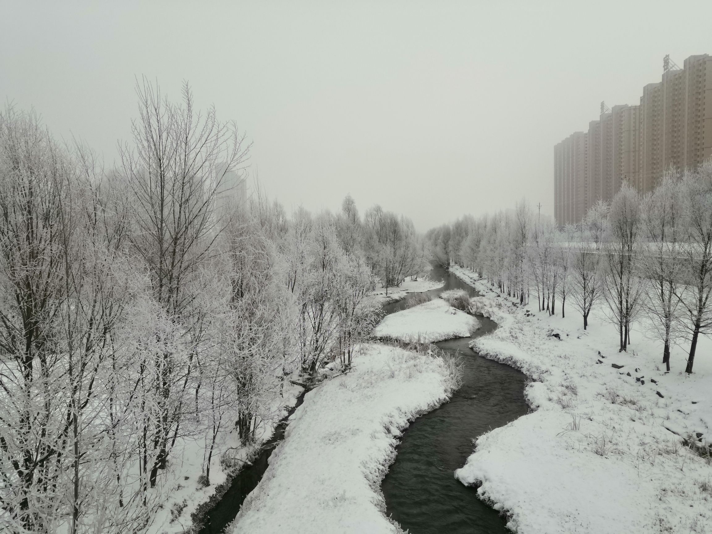 懿荷公园旅行图片 2