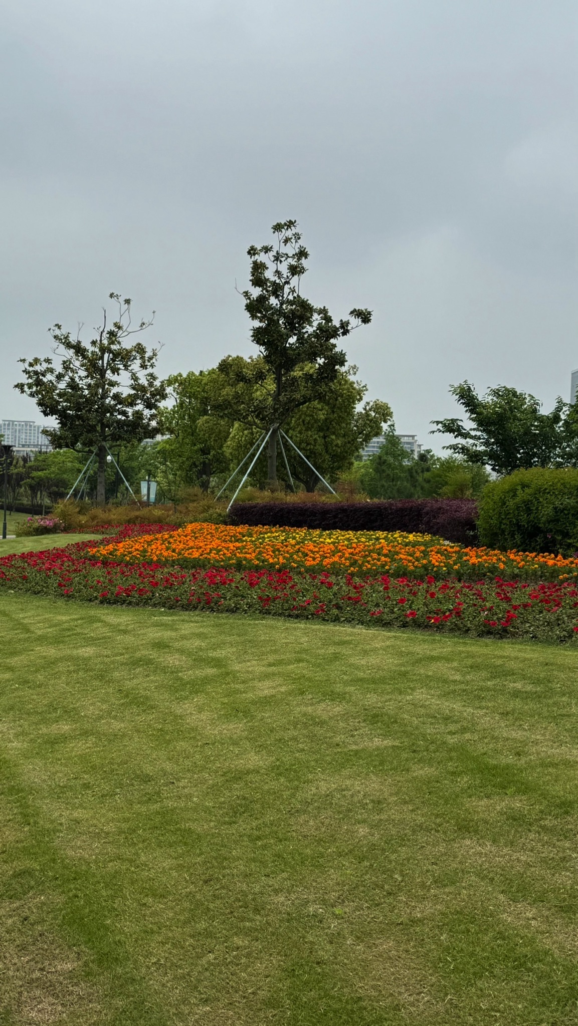 秀湖公园旅行图片 1