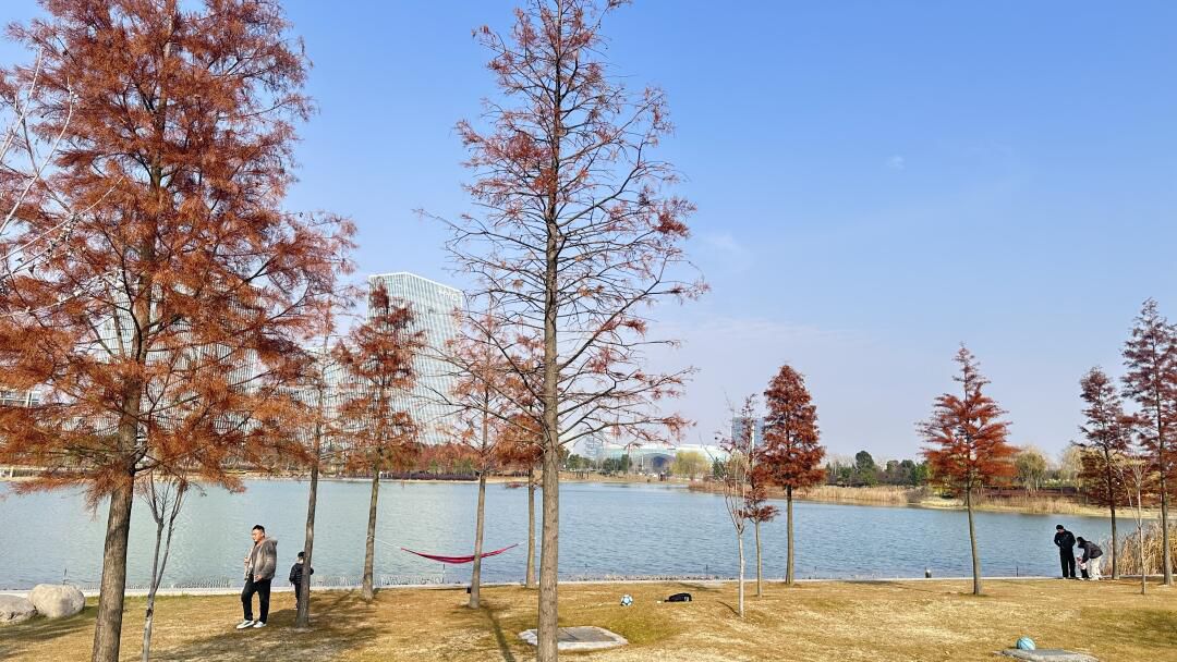 秀湖公园旅行图片 2