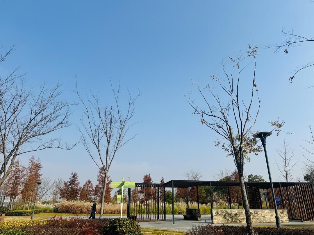 秀湖公园旅行图片 3