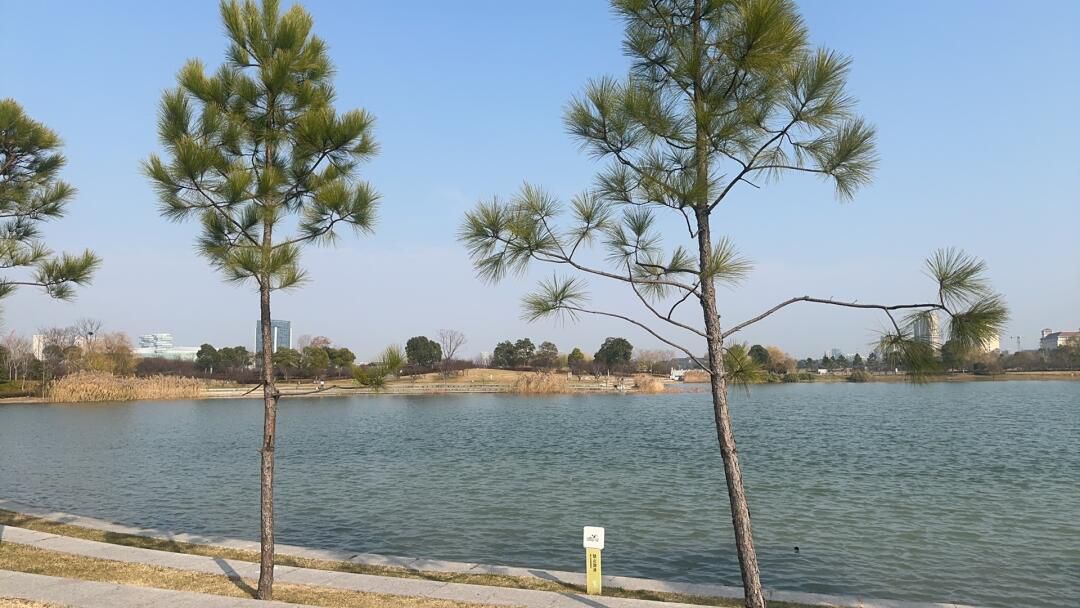 秀湖公园旅行图片 1