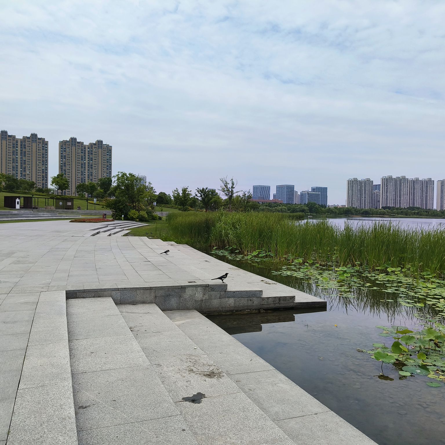 秀湖公园旅行图片 3